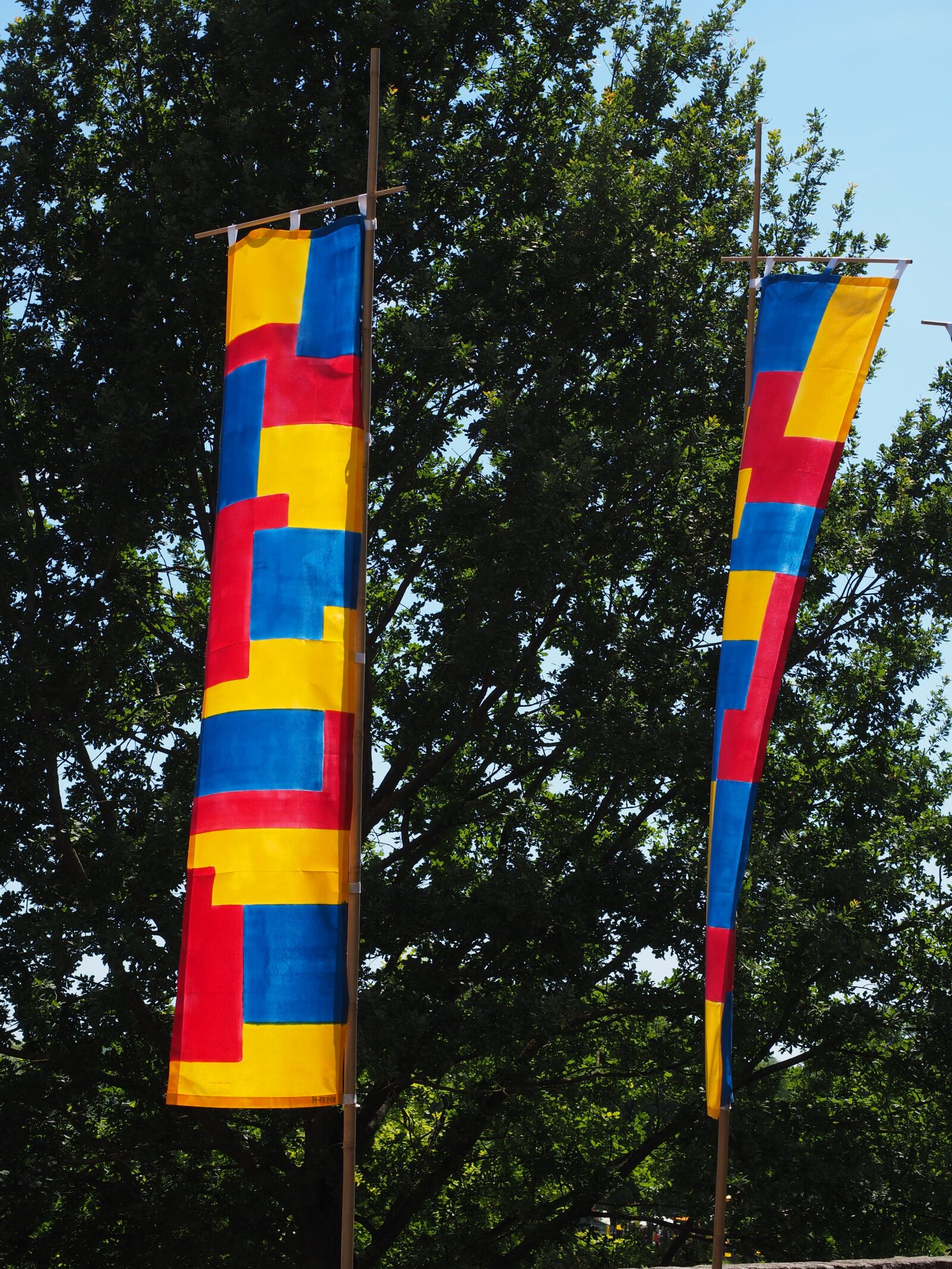 Olympus OM-D E-M1 + Olympus M.Zuiko Digital ED 12-40mm F2.8 Pro sample photo. Flags, colorful, blow photography
