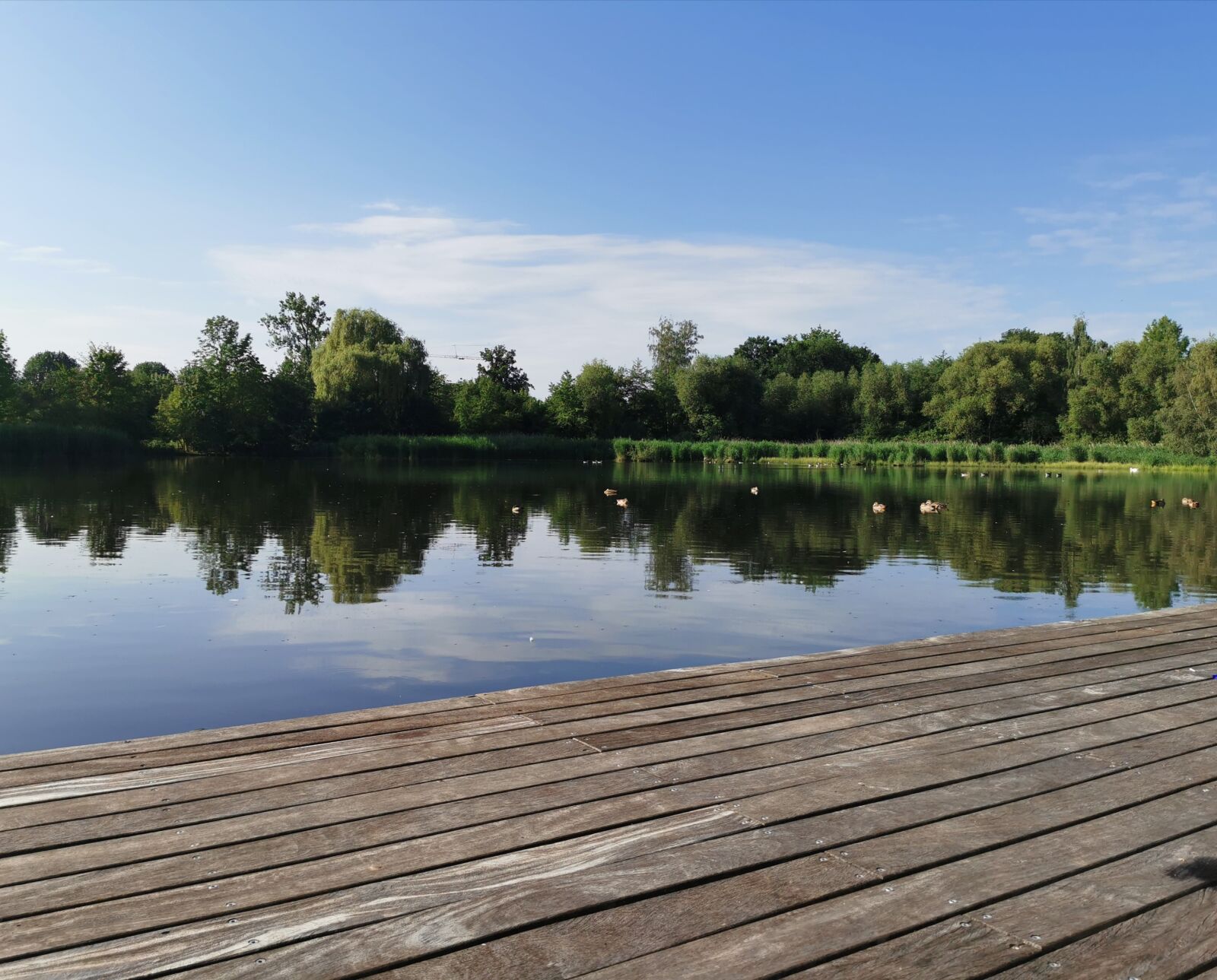 HUAWEI P30 Pro sample photo. Lake, water, wood photography