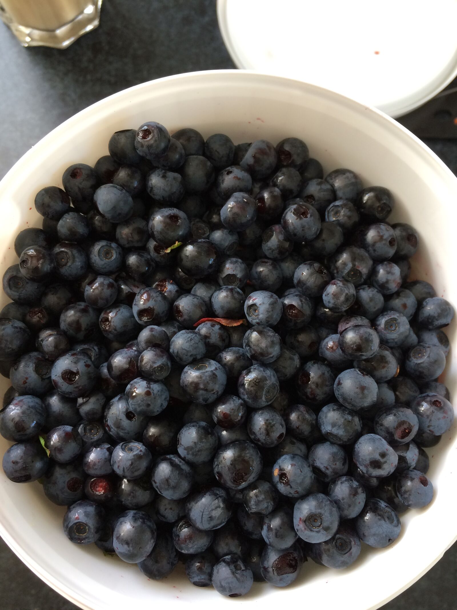 iPhone 5s back camera 4.15mm f/2.2 sample photo. Blueberries, berry picking, blueberry photography