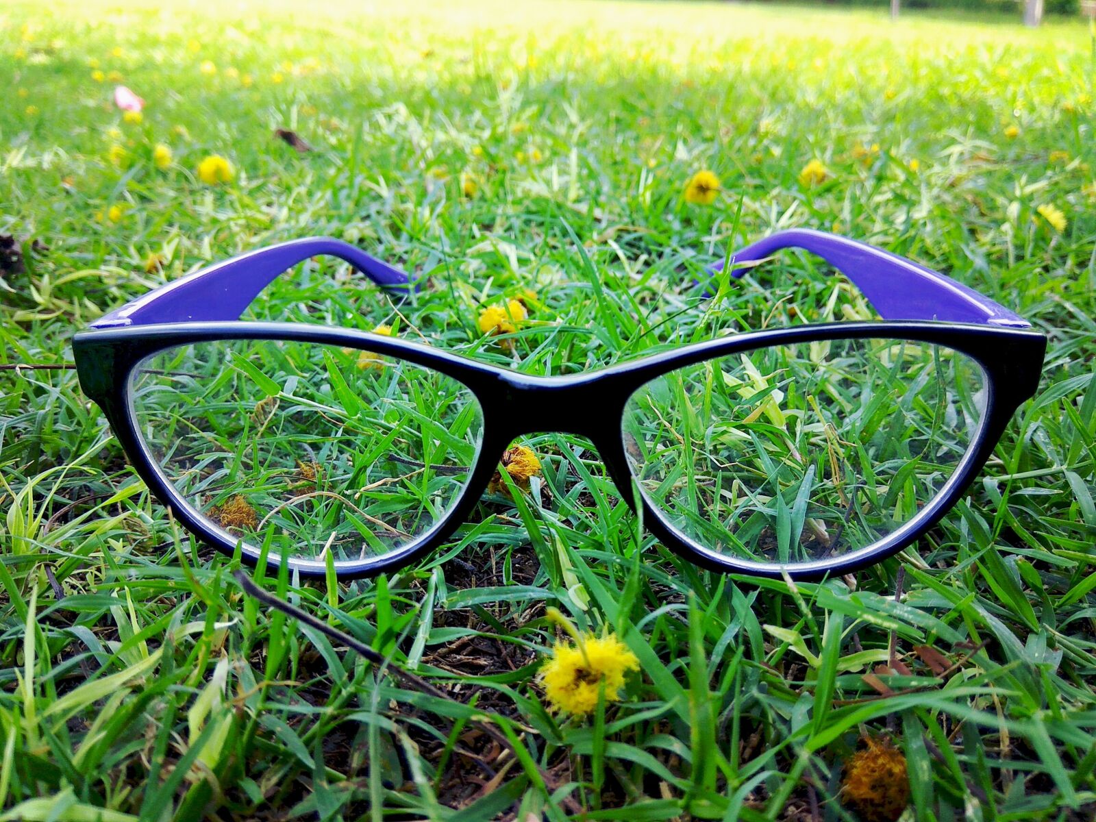 Xiaomi Redmi Note 3 sample photo. Eyeglass, eyewear, greenery photography