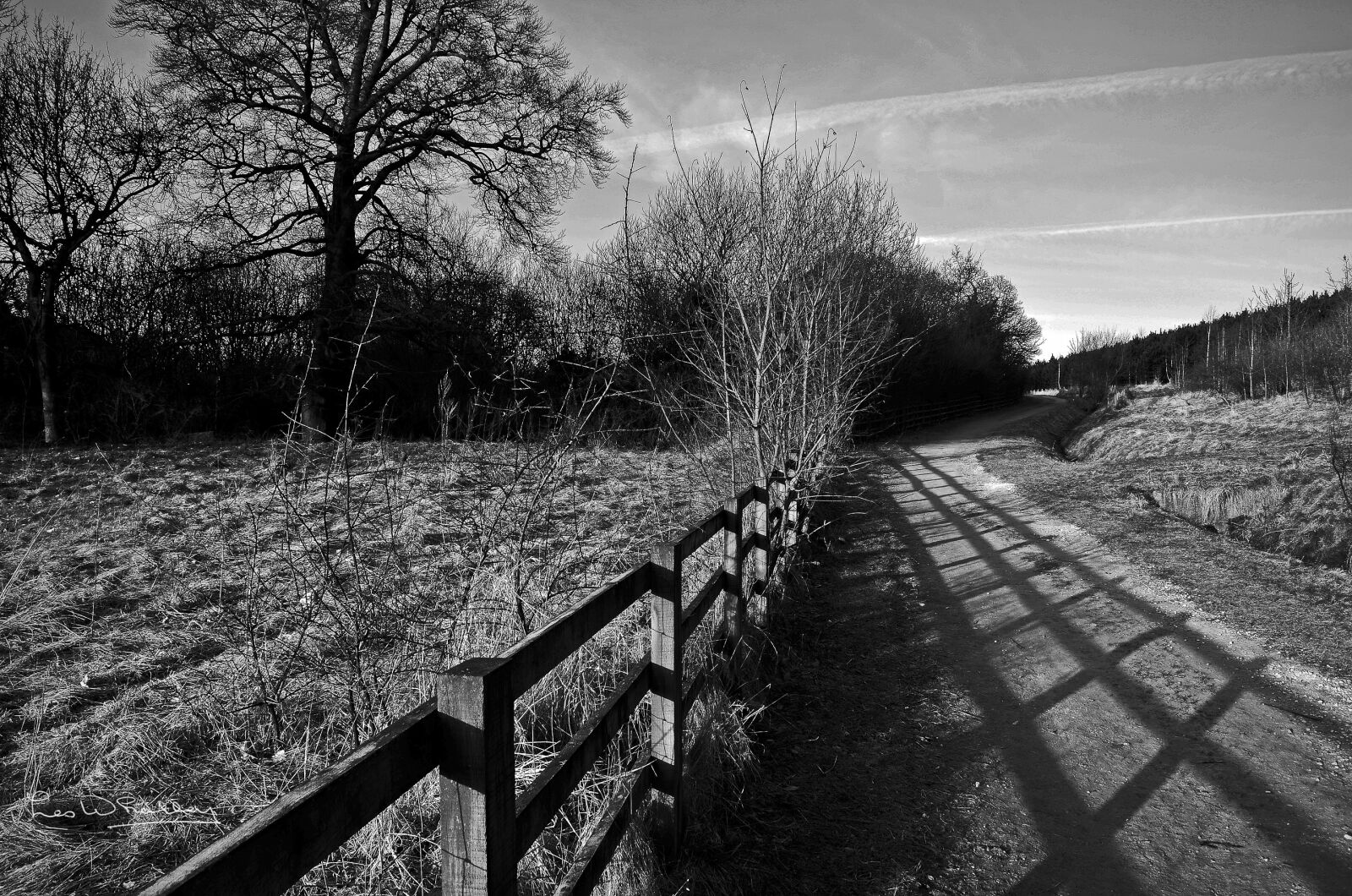 Nikon D5100 sample photo. Landscape, sunrise, nature photography