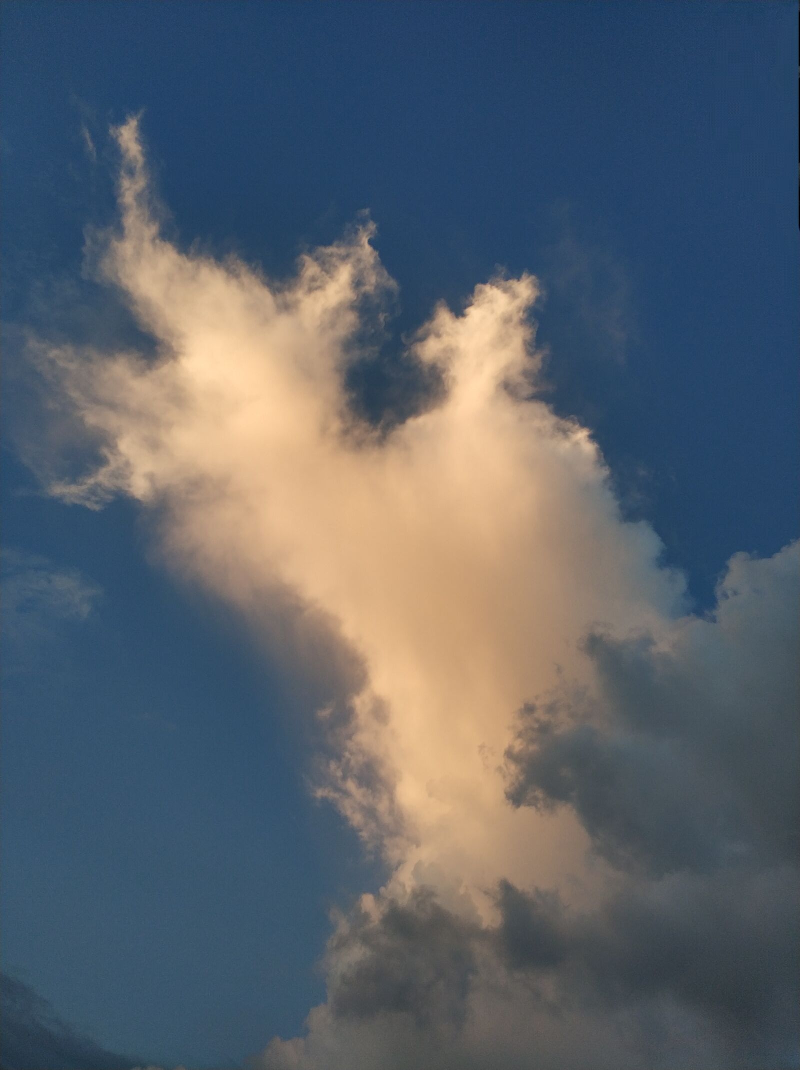 Xiaomi MI6 sample photo. At dusk, sky, clouds photography