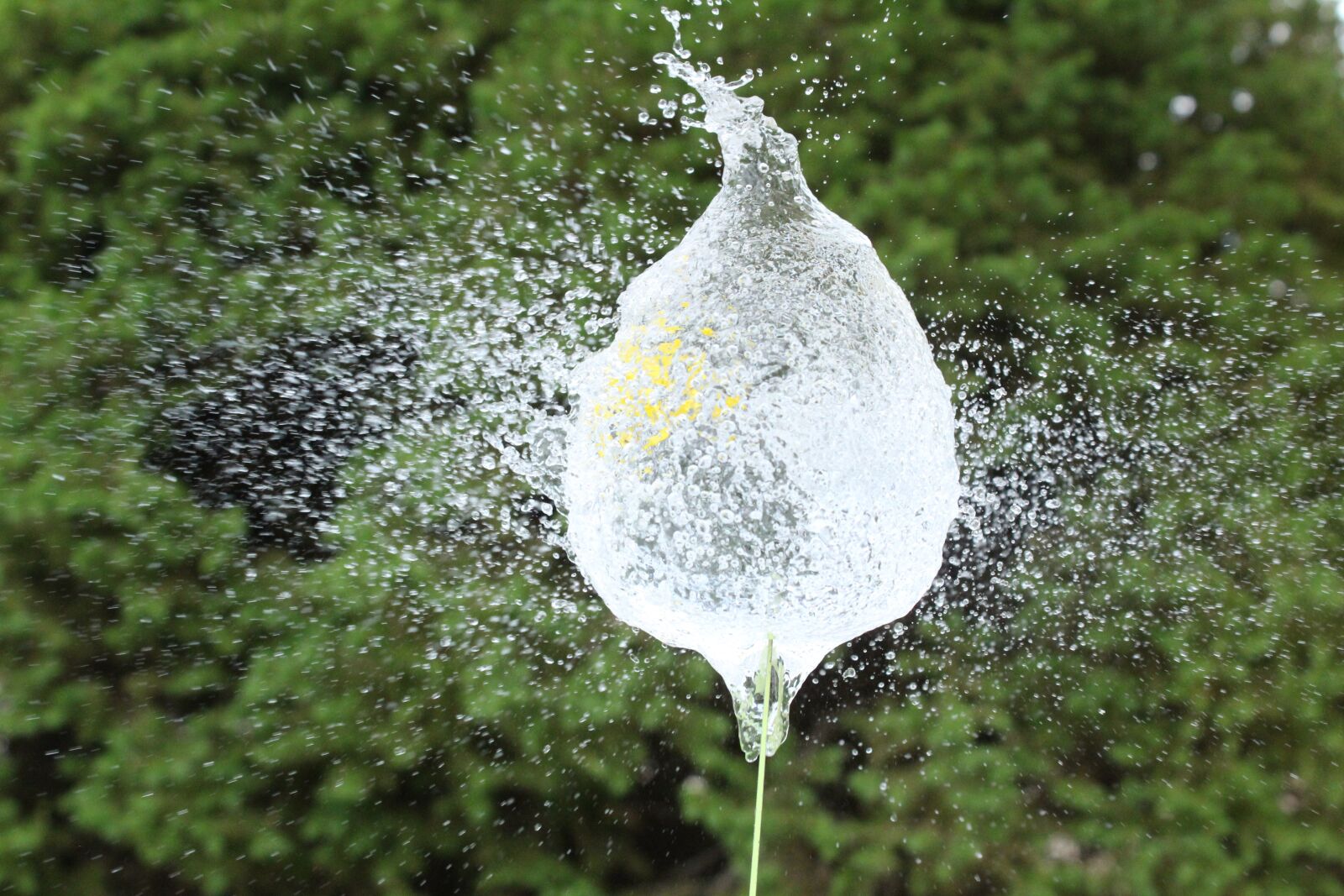 Canon EOS 1300D (EOS Rebel T6 / EOS Kiss X80) sample photo. Water, balloon, wet photography