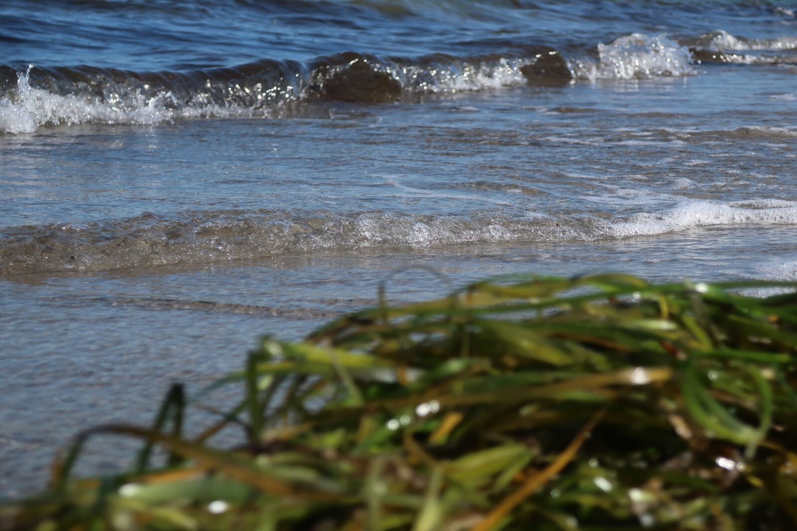 Canon PowerShot G9 X Mark II sample photo. Beach, wave, coast photography