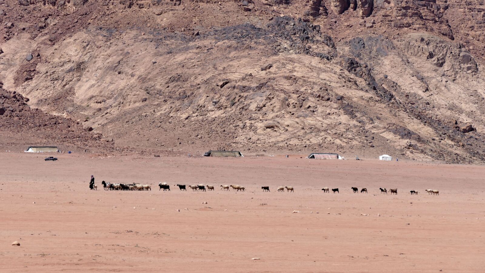 Panasonic Lumix DMC-FZ1000 sample photo. Wadirum, agaba, desert photography