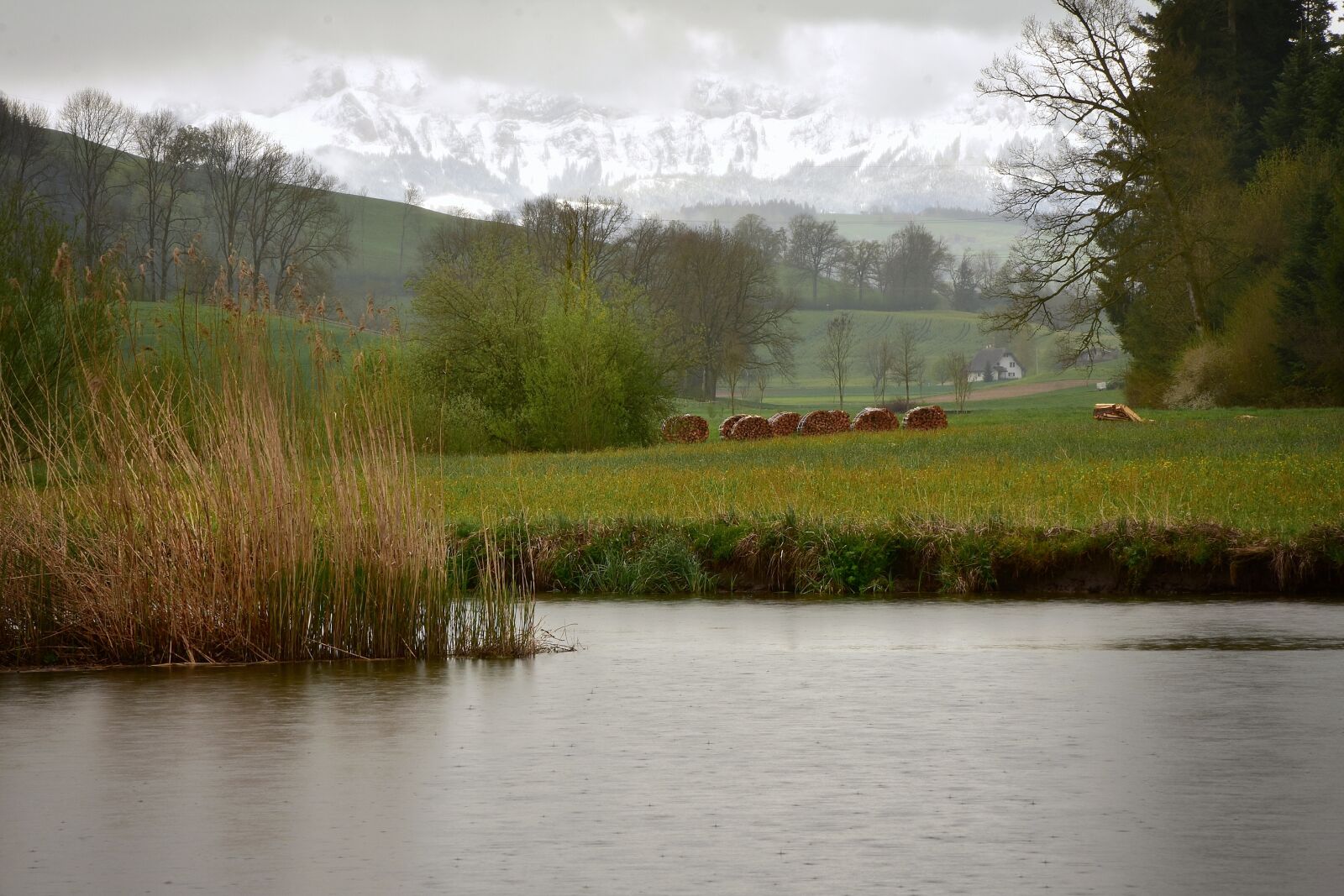 Nikon D7200 sample photo. Nature reserve, water, landscape photography