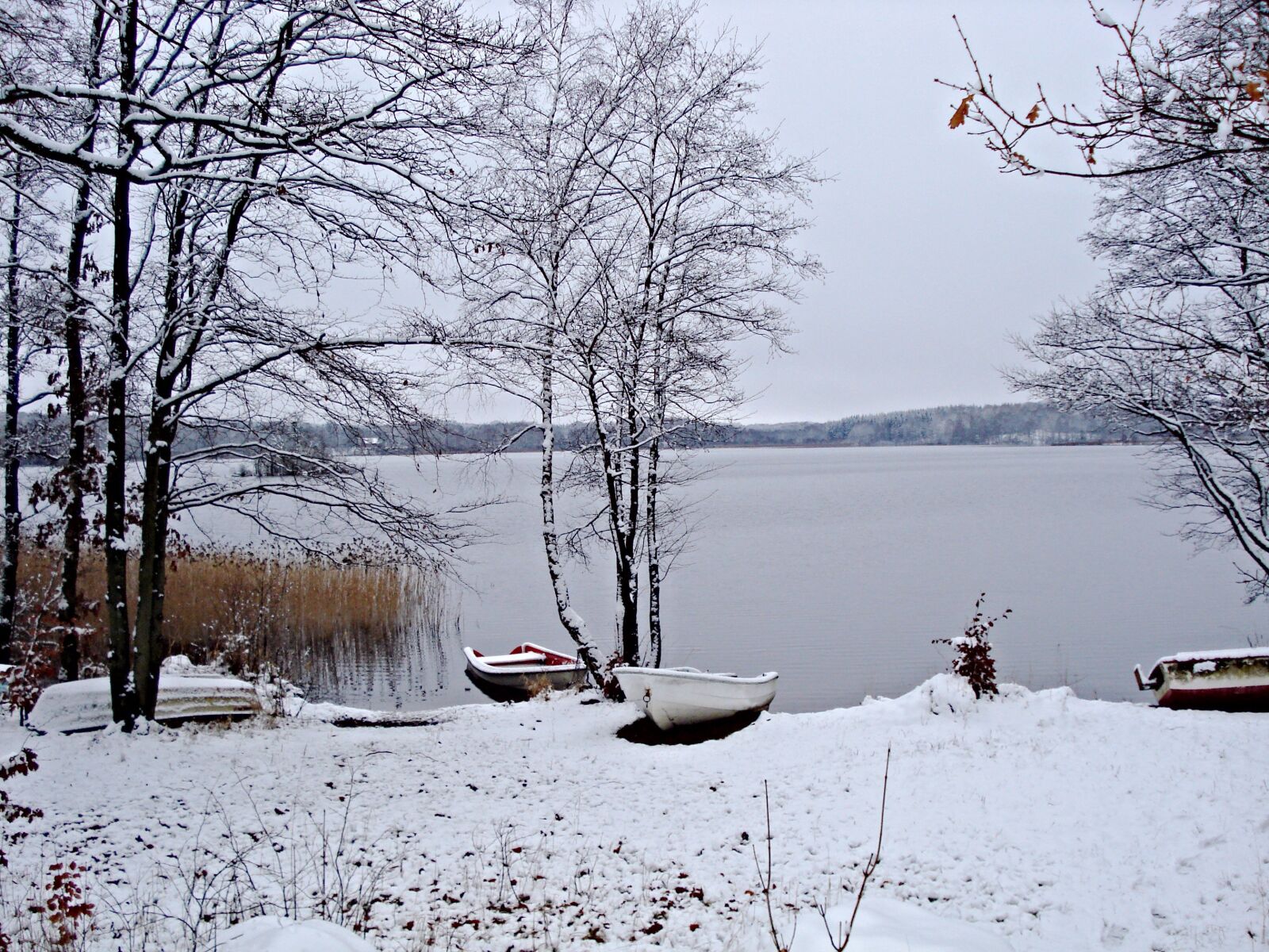 Sony DSC-W55 sample photo. Wintry, sweden, lake photography