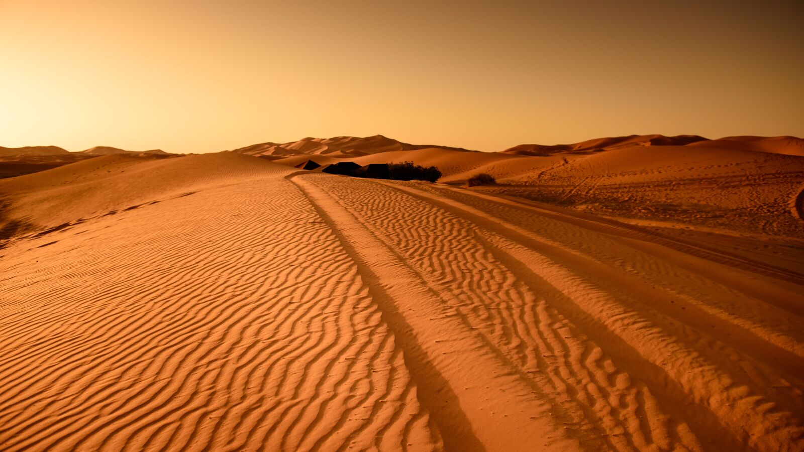 Nikon D810 sample photo. Desert, morocco, sand dune photography