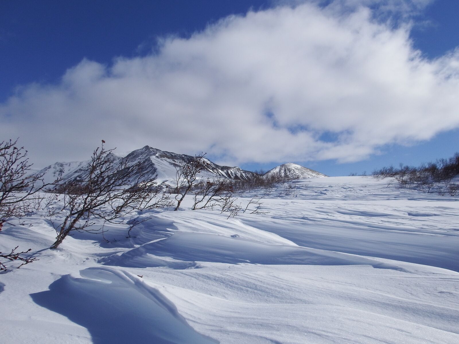 Fujifilm FinePix S1 sample photo. Winter, snow, cold photography