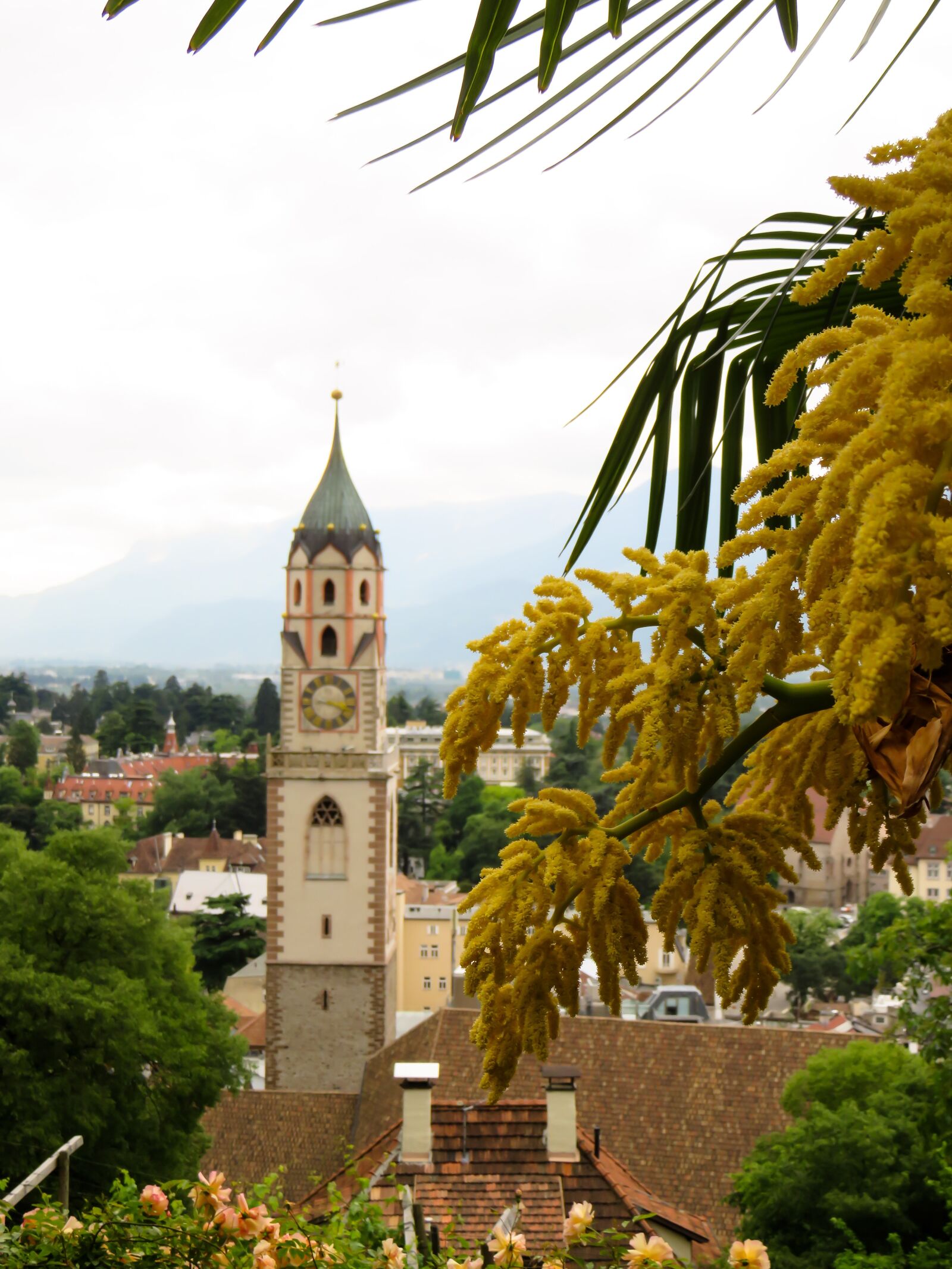 Canon PowerShot SX710 HS sample photo. Vacations, italy, south tyrol photography
