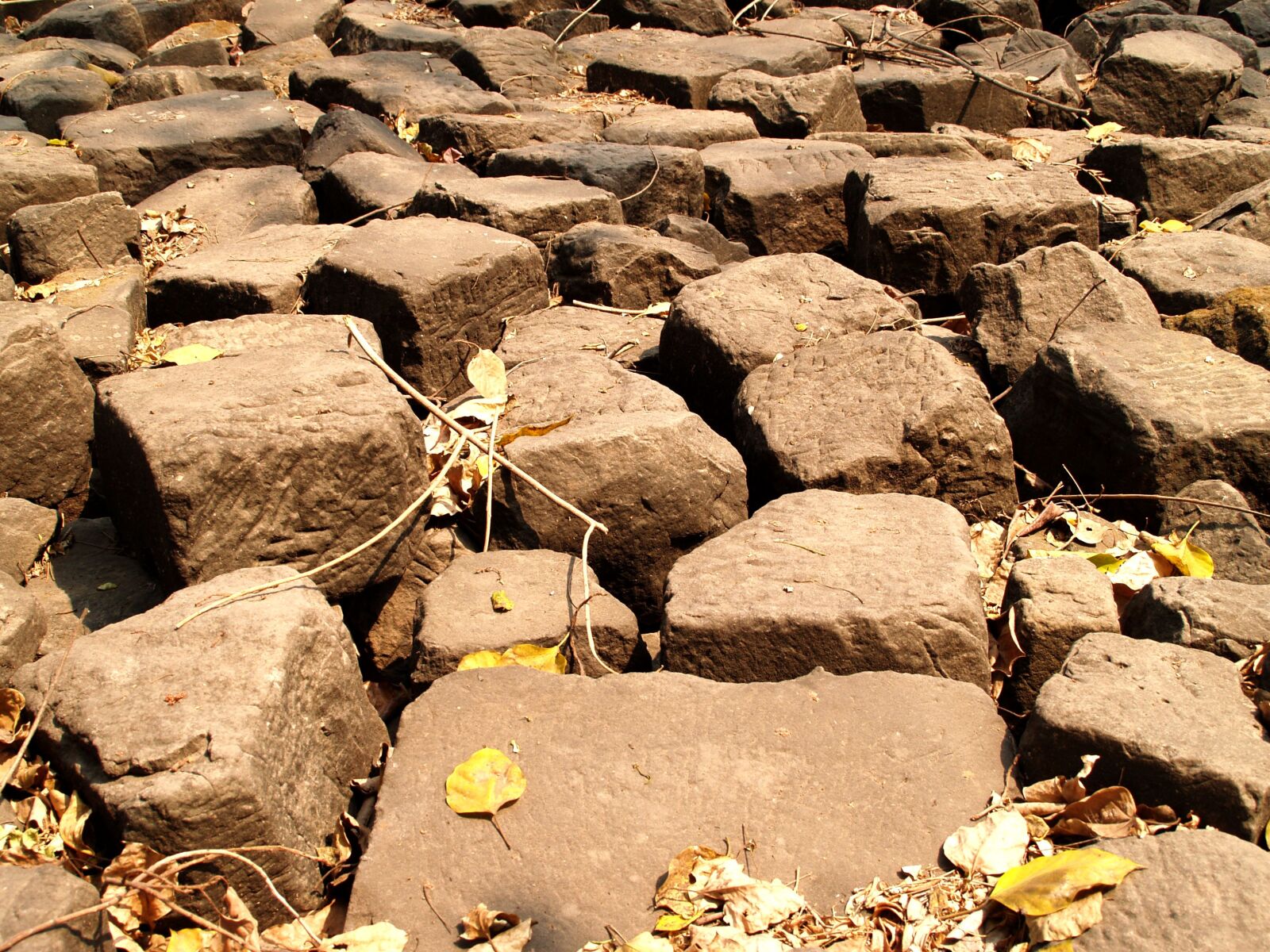 Olympus E-300 (EVOLT E-300) sample photo. Ayutthaya, thailand, ethnicity photography