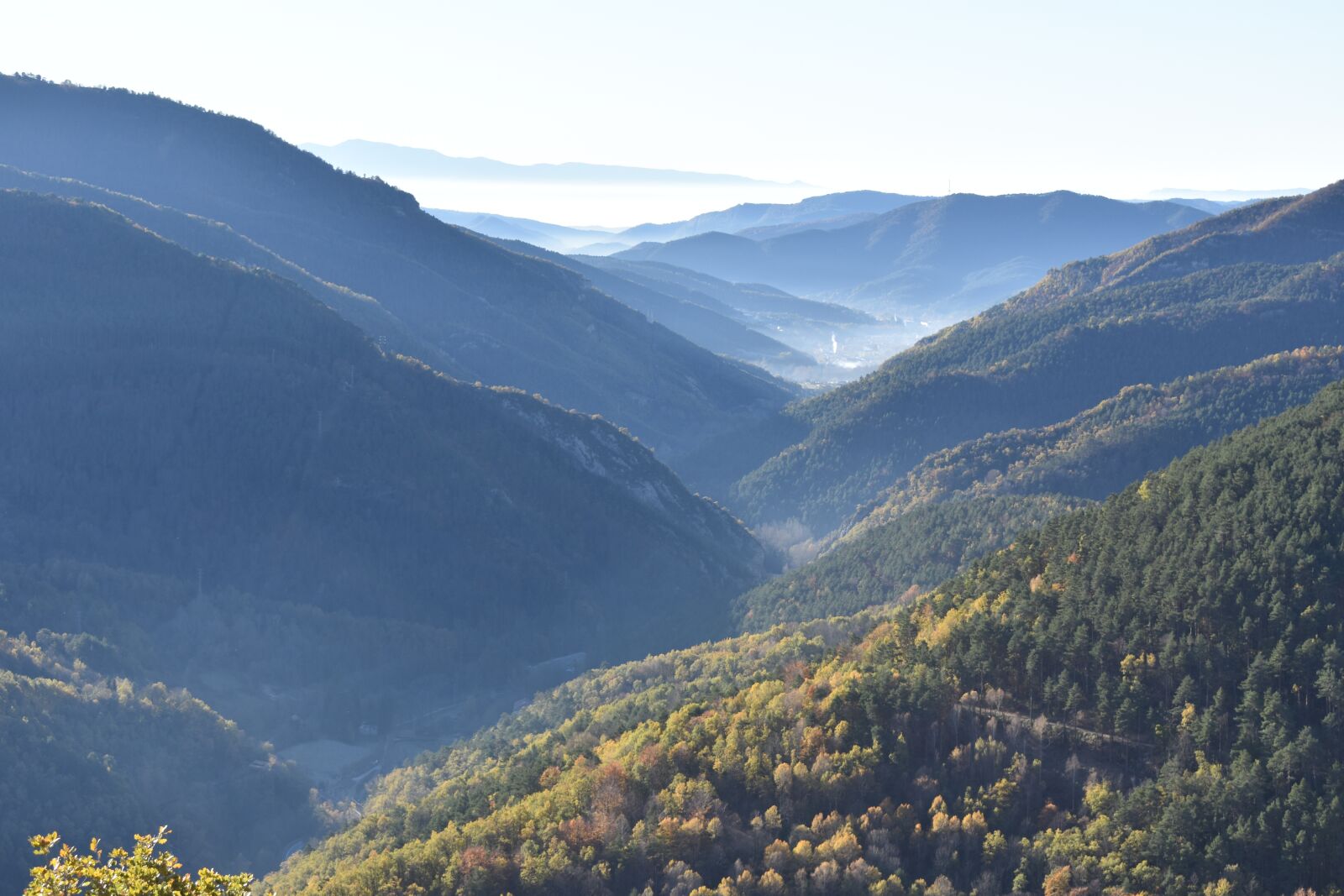 Nikon D3400 sample photo. Landscape, forest, fog photography