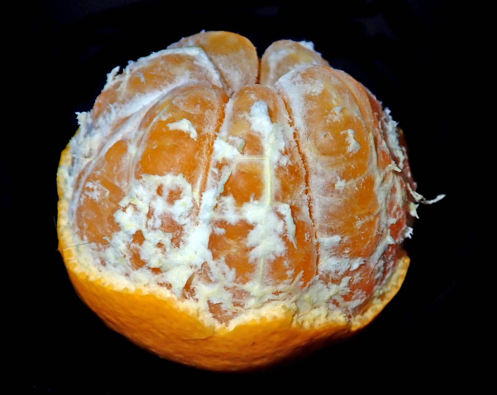 Olympus TG-5 sample photo. Fruit, citrus, mandarin photography