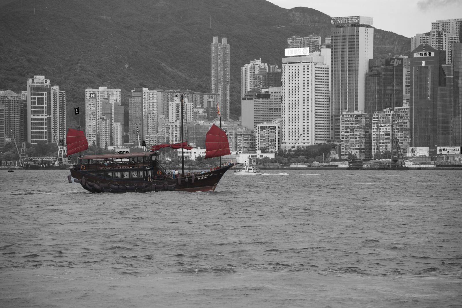 Nikon D800 sample photo. Hong kong, ship, boat photography