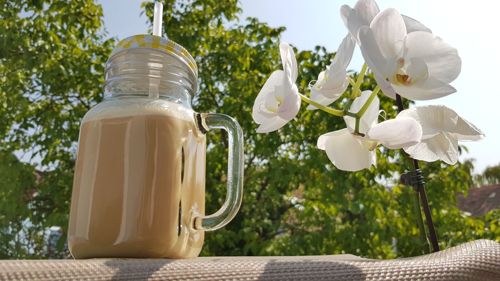 Samsung Galaxy S8 sample photo. Vegan, coconut milk, almond photography