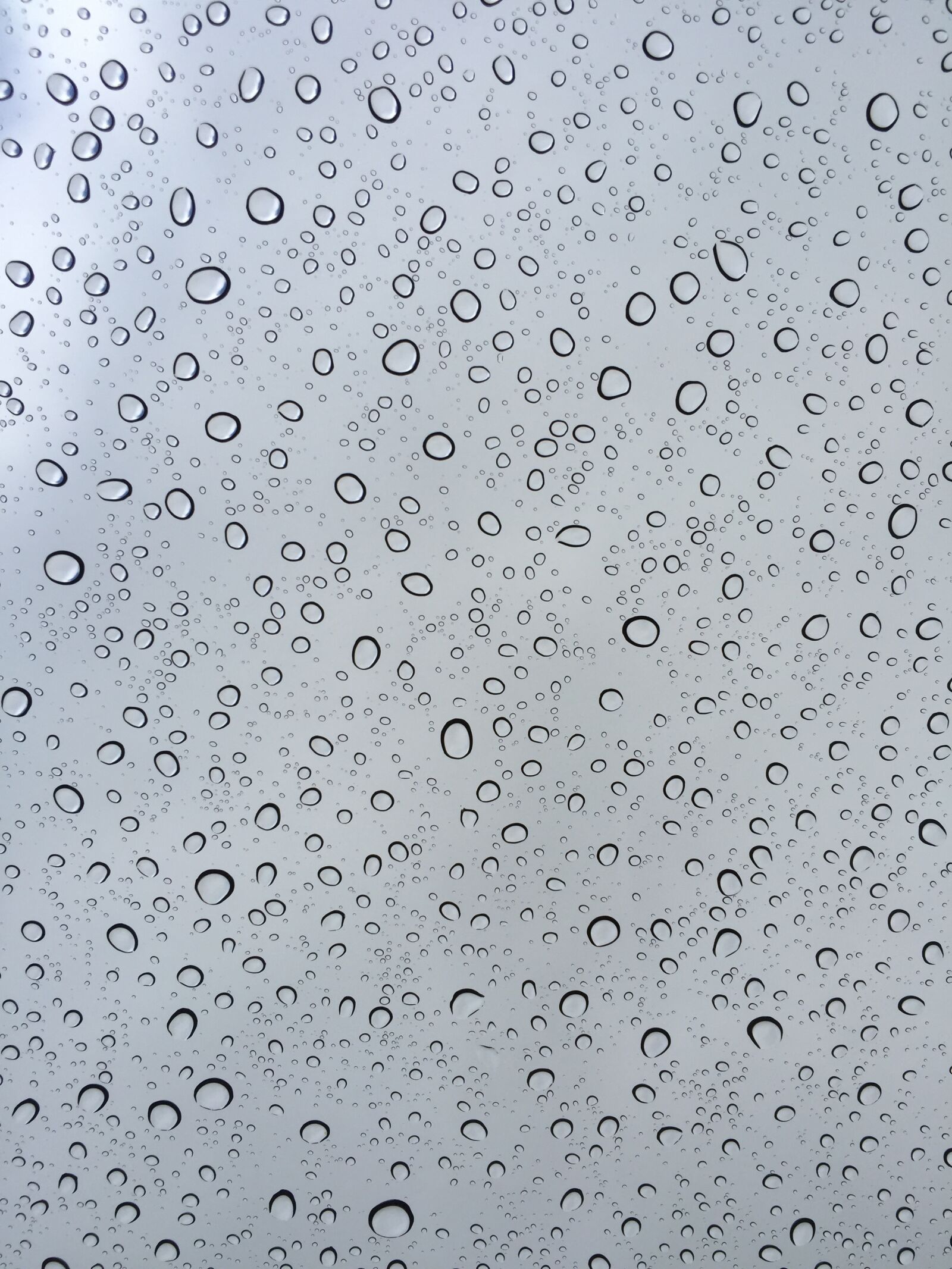 Apple iPhone 6 sample photo. Rain, rain drips, window photography