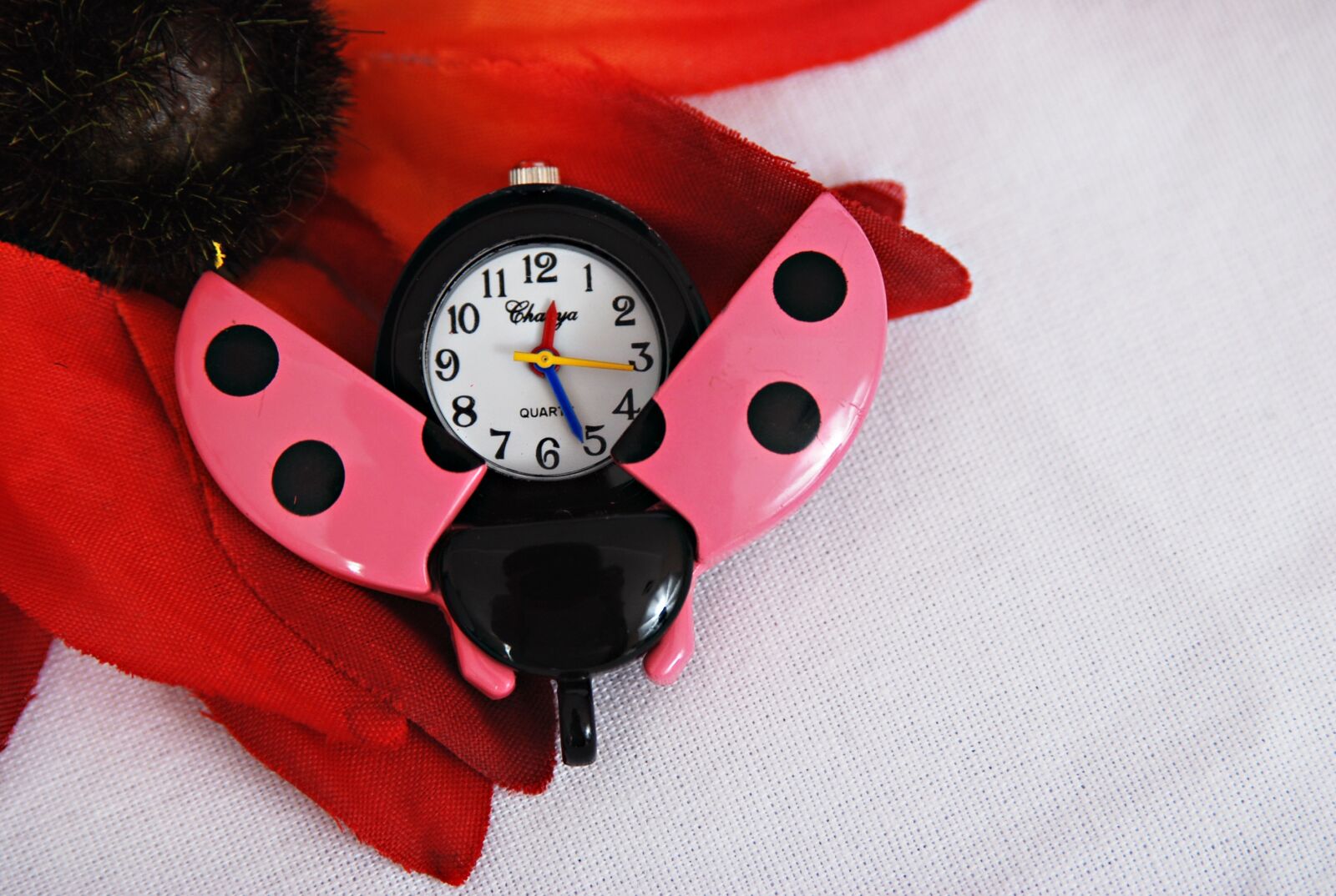 Nikon D80 sample photo. Watch, ladybug, pink photography