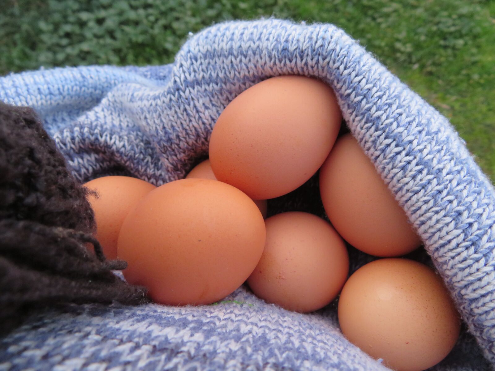 Canon PowerShot SX720 HS sample photo. Eggs, wool, knit photography