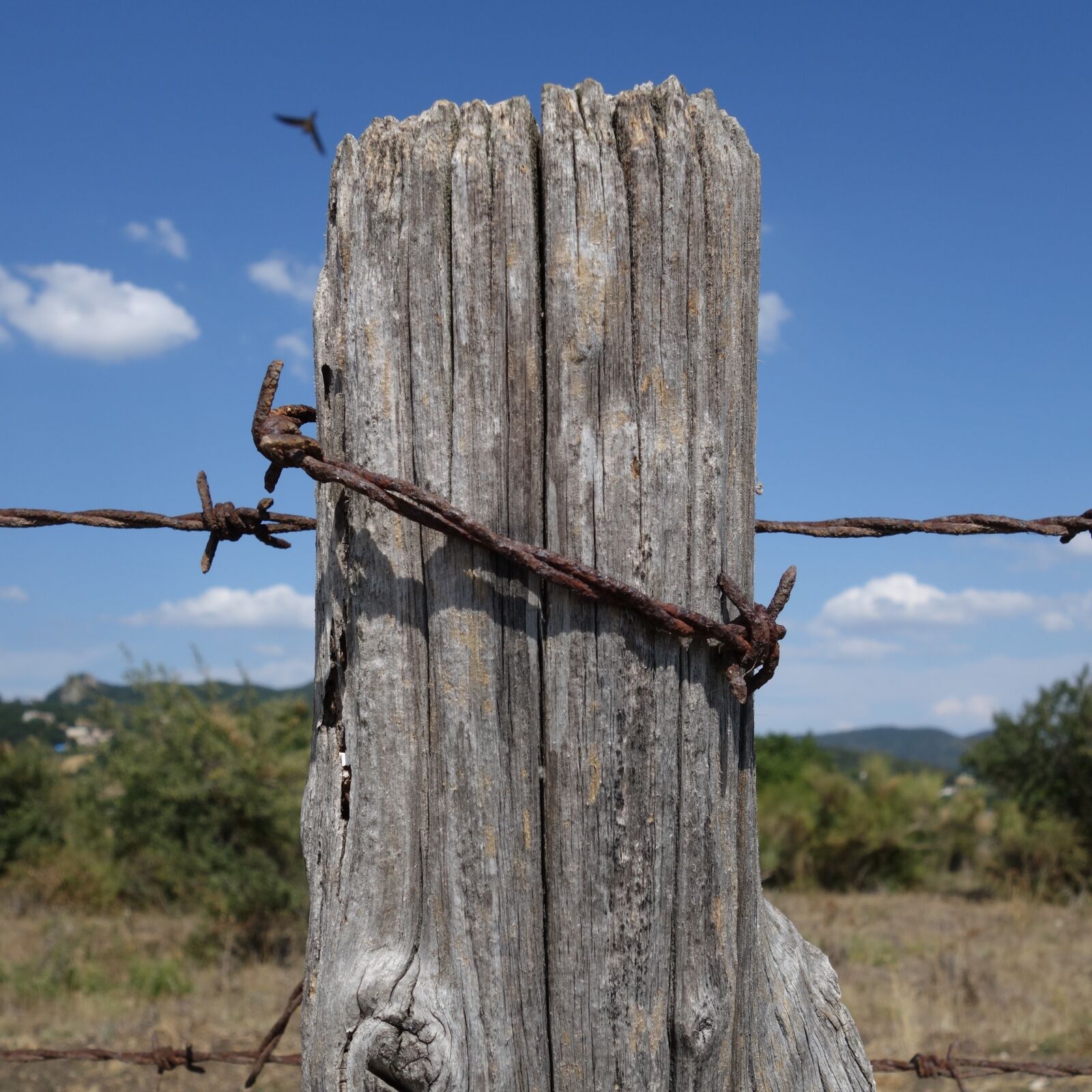 Sony Cyber-shot DSC-RX100 II sample photo. Barbed wire, post, rusty photography