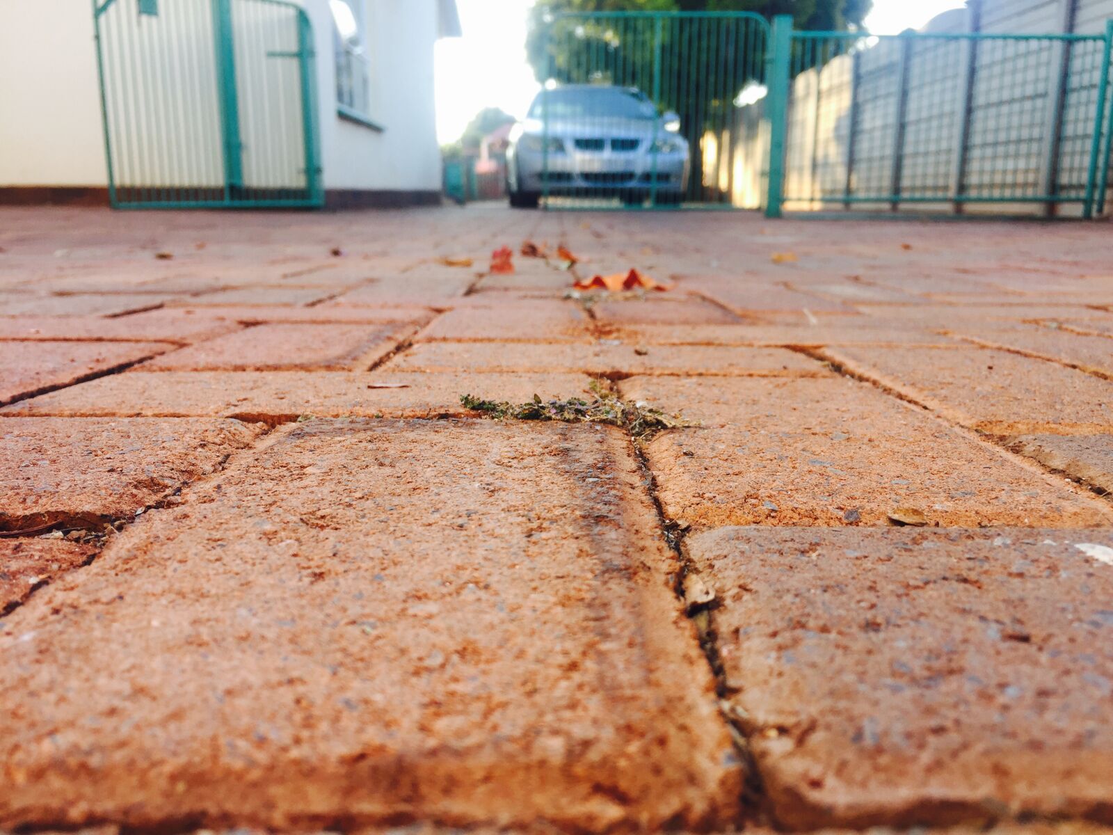iPhone 6 back camera 4.15mm f/2.2 sample photo