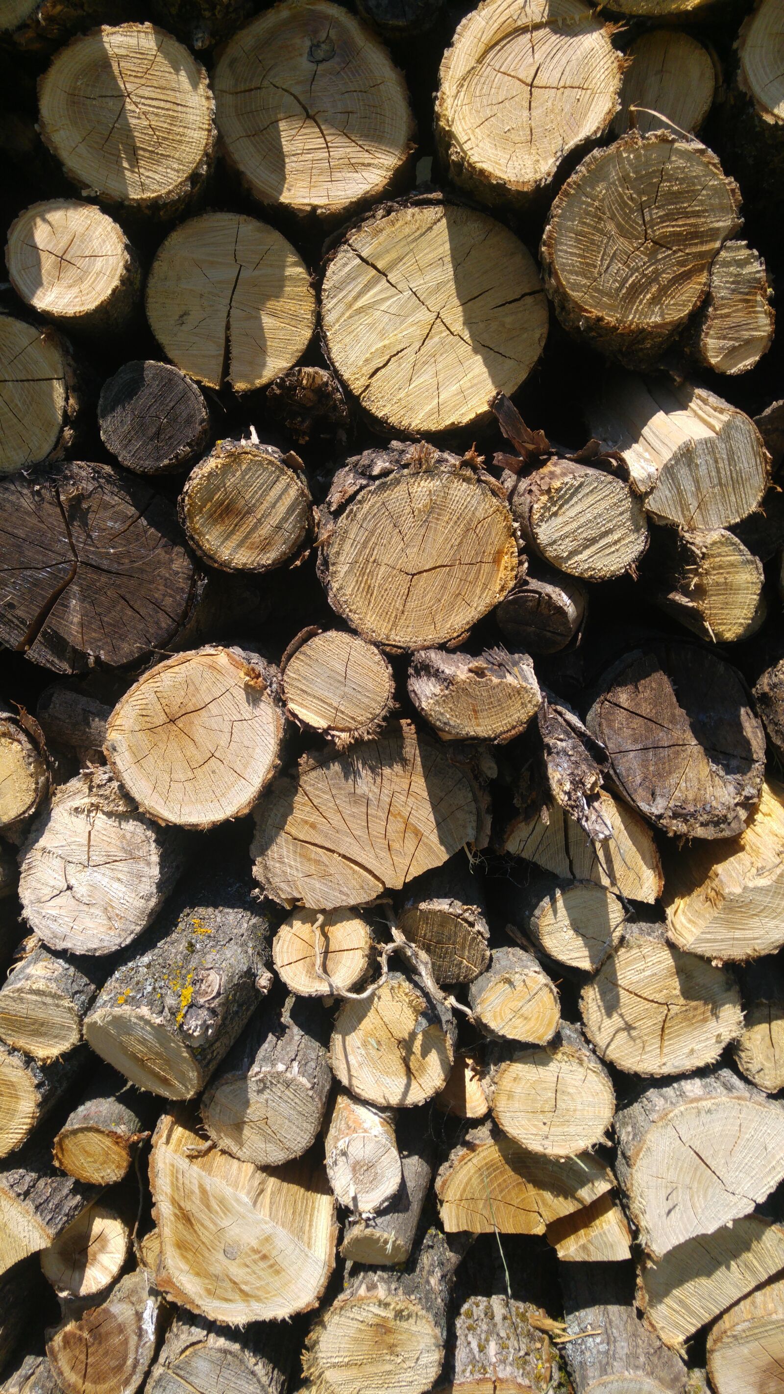 LG G4 sample photo. Wood, fire, pile photography