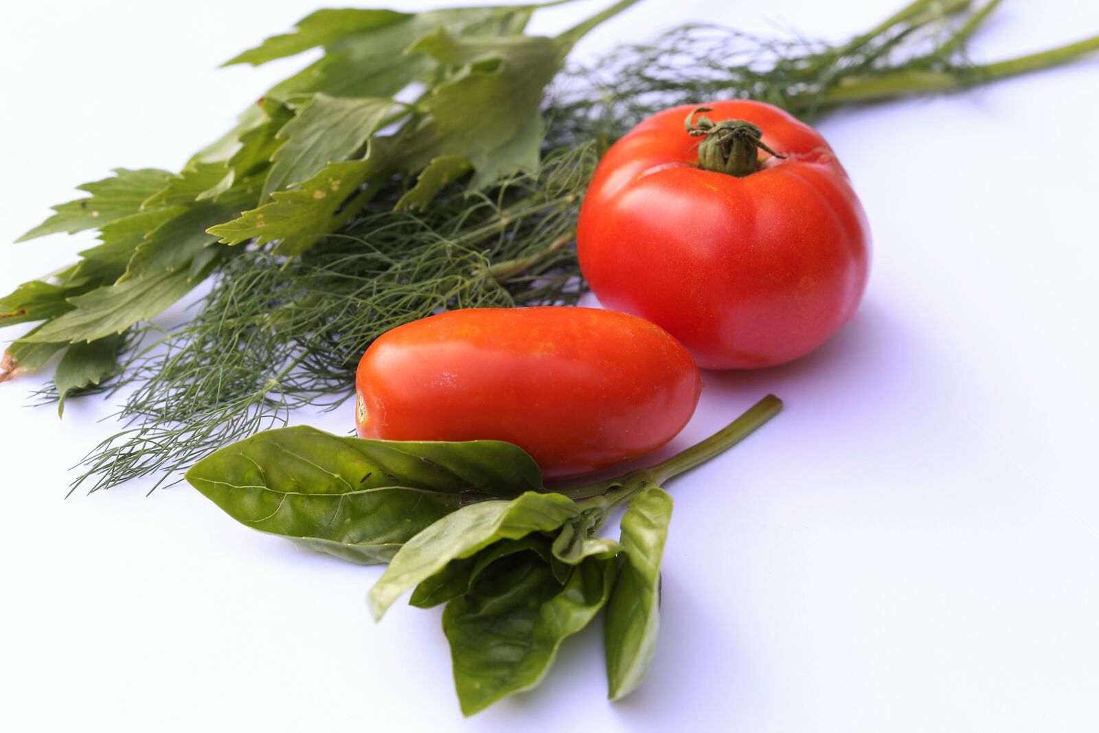 Canon EOS 6D + Canon EF 100mm F2.8 Macro USM sample photo. Basil, tomatoes, dill photography