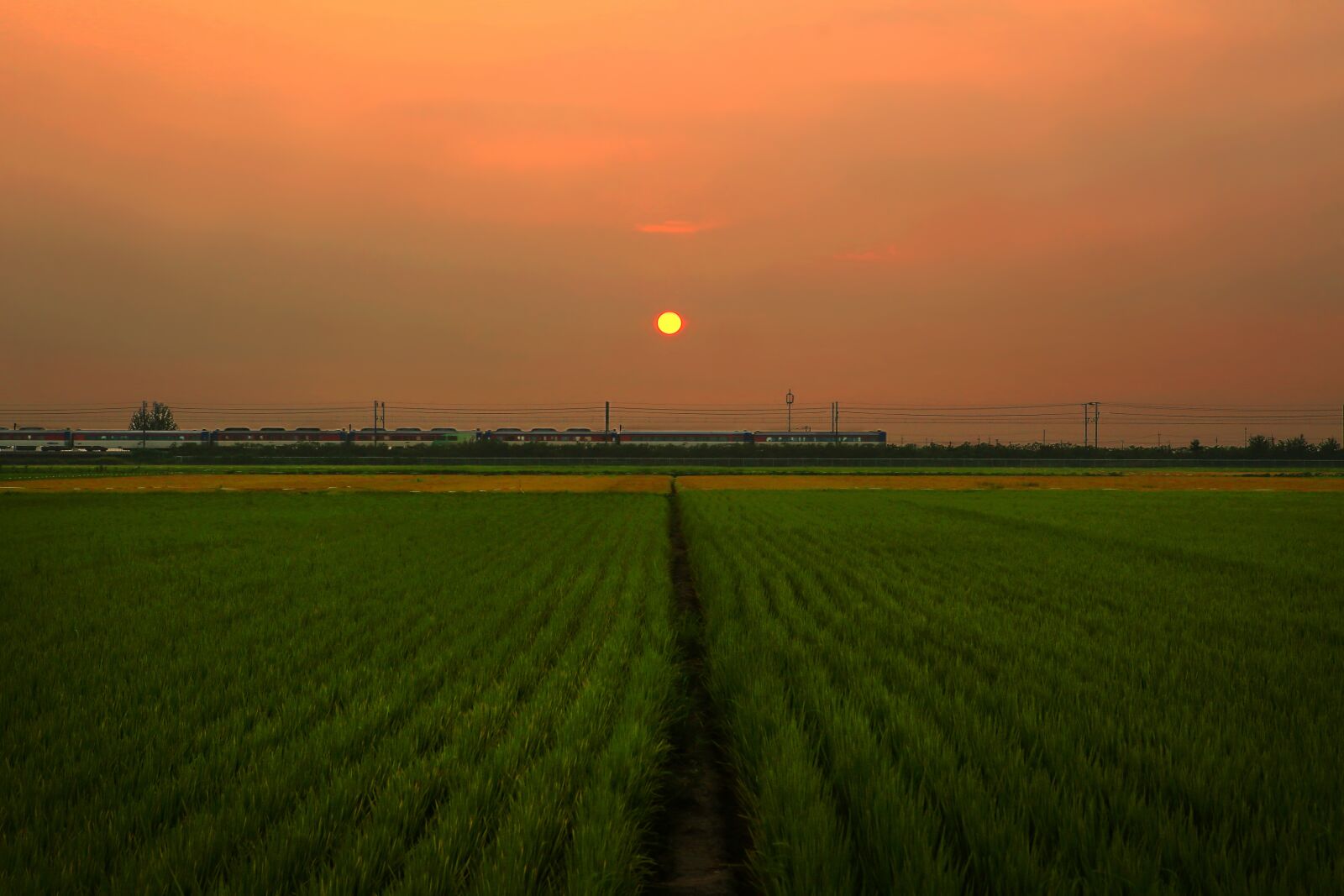 Canon EOS 5D Mark III sample photo. Landscape, sunset, train photography