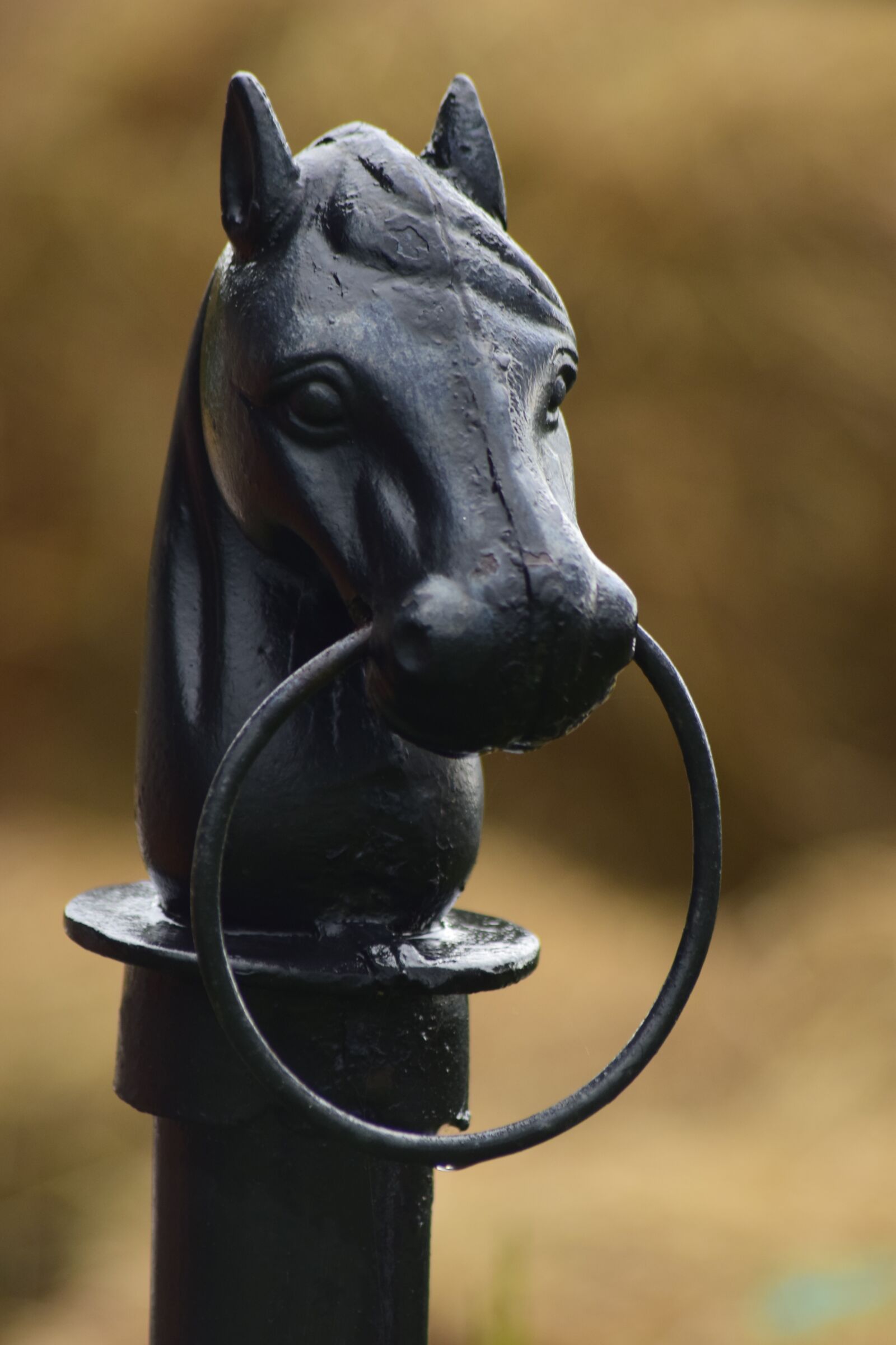 Nikon D5300 sample photo. Horse, crafts, structure photography