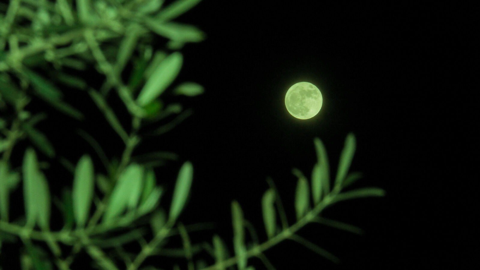Panasonic Lumix DMC-GH3 sample photo. Moon photography