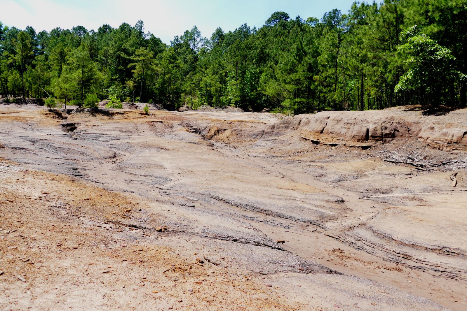 Panasonic Lumix DMC-FZ1000 sample photo. Trees, forest, geology photography