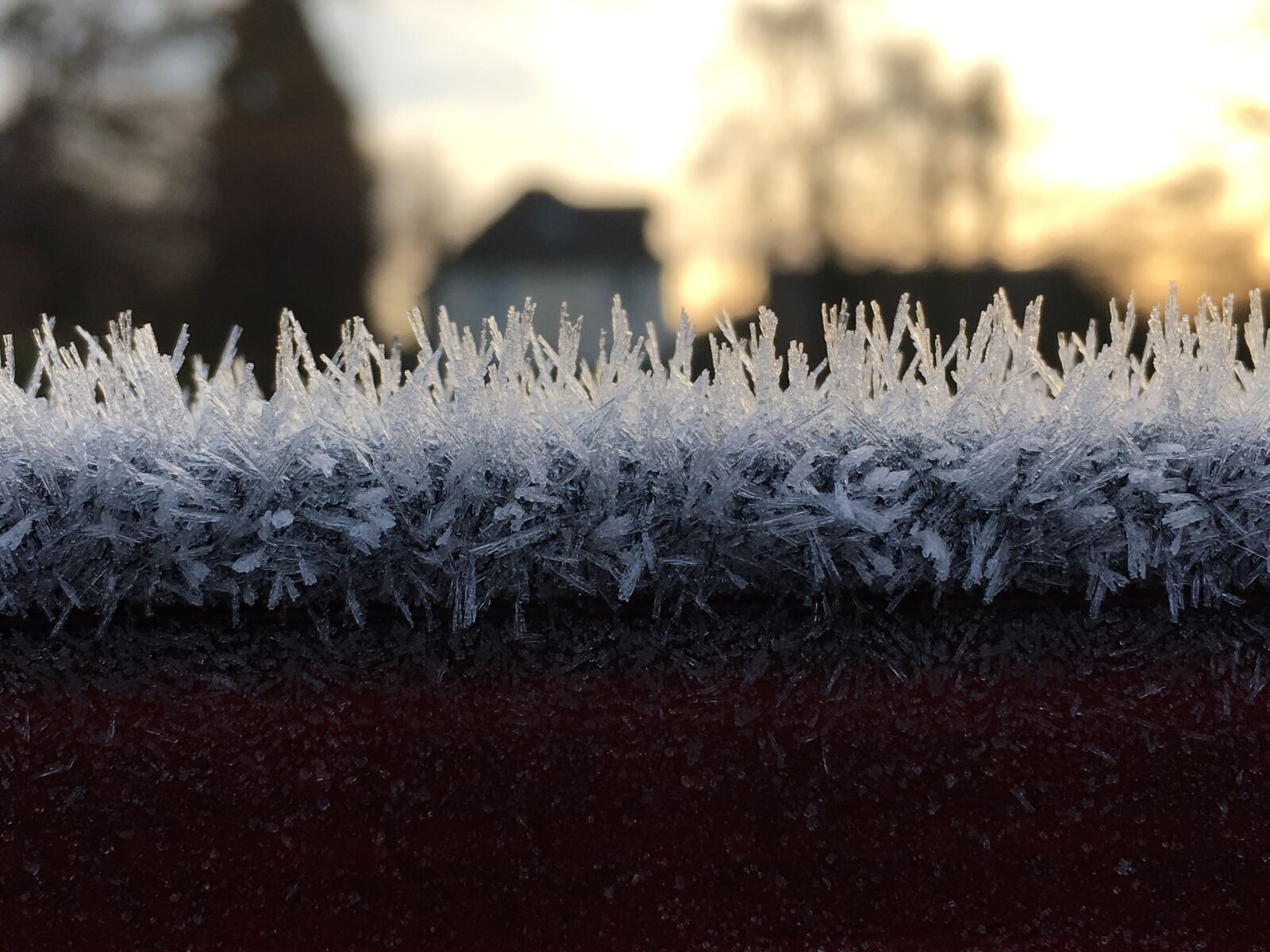 Apple iPhone 6s sample photo. Winter, frost, desktop photography