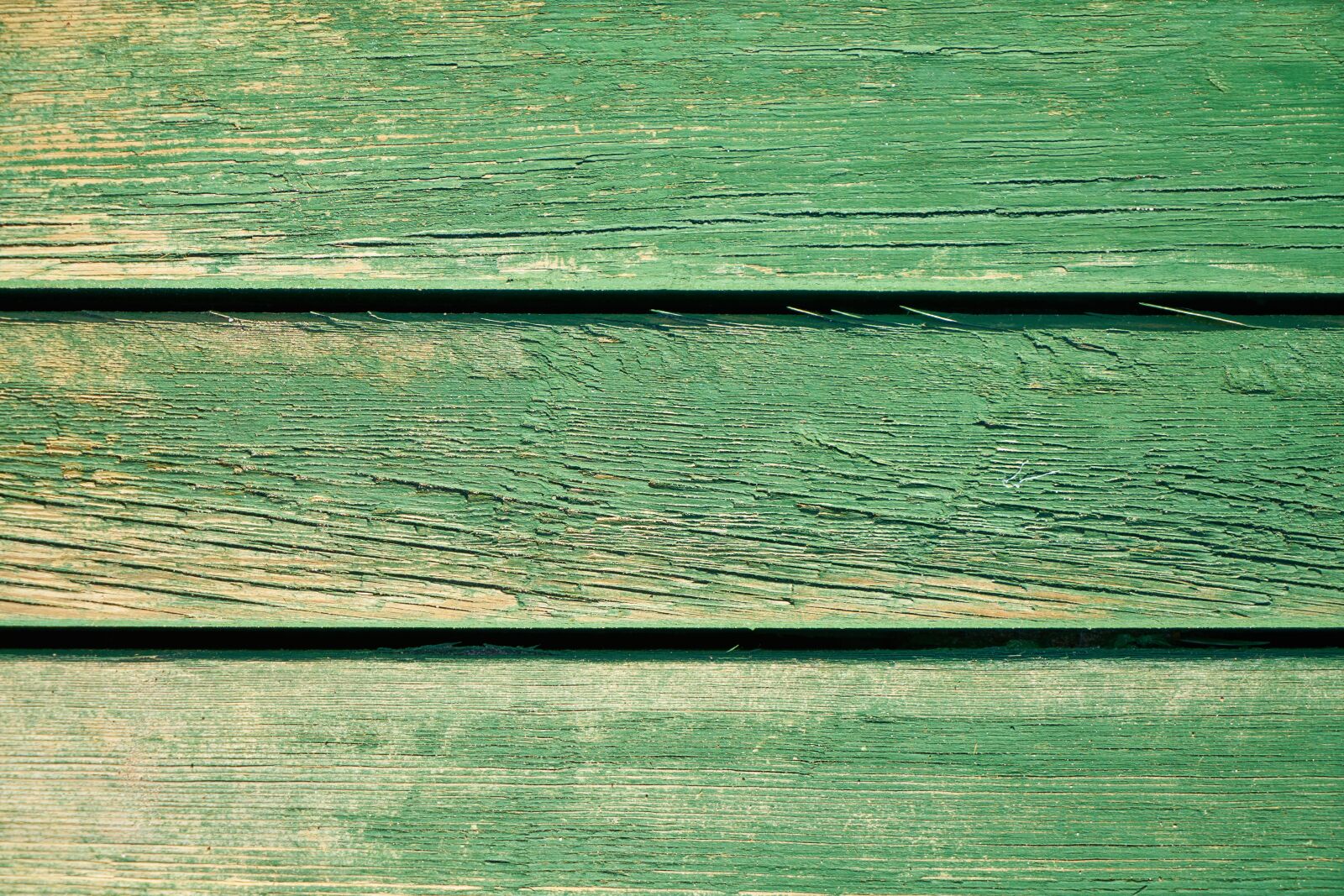 Sony a7R II sample photo. Green, wood, texture photography