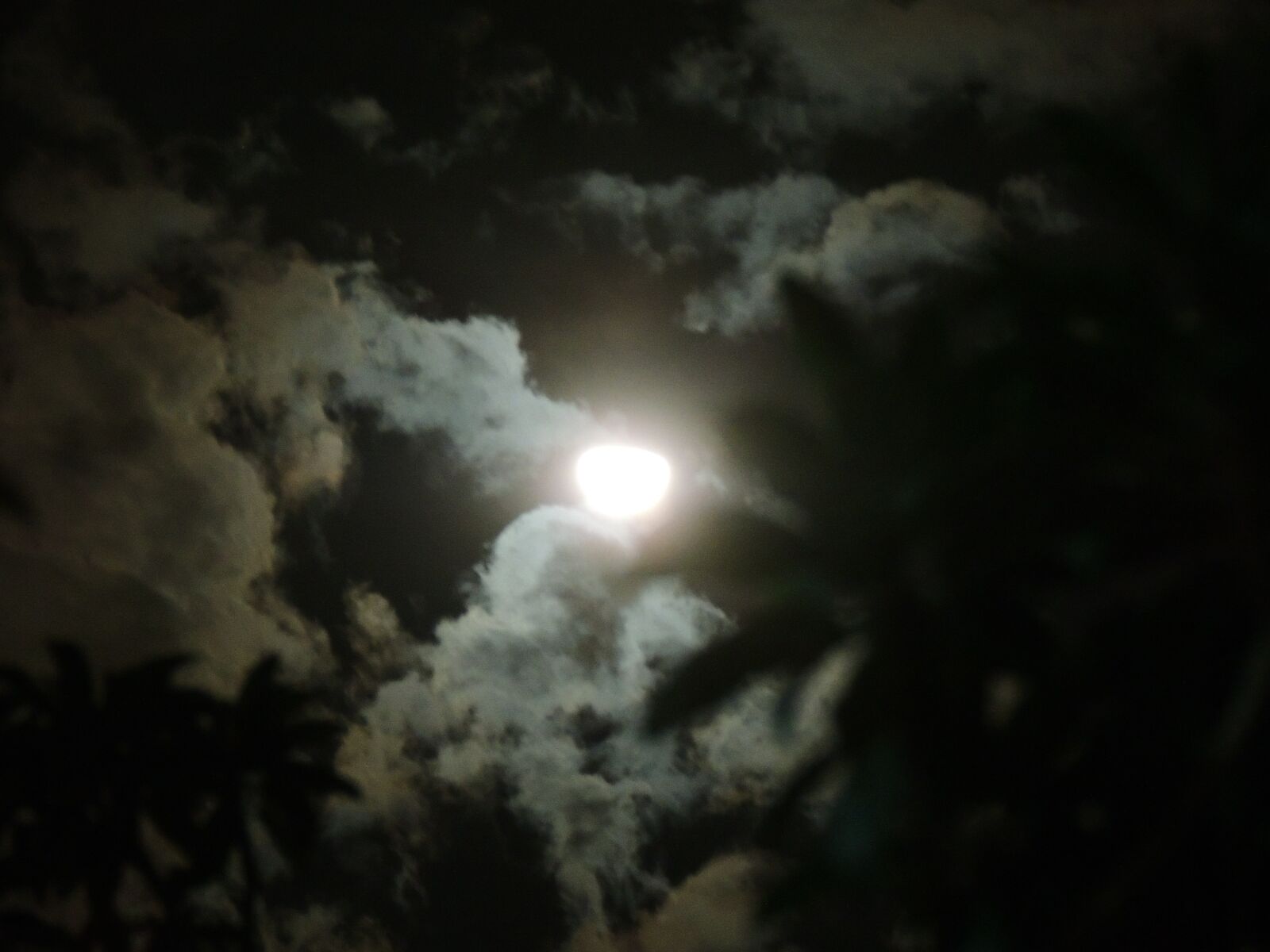 Nikon Coolpix P510 sample photo. Full moon, moon, planet photography