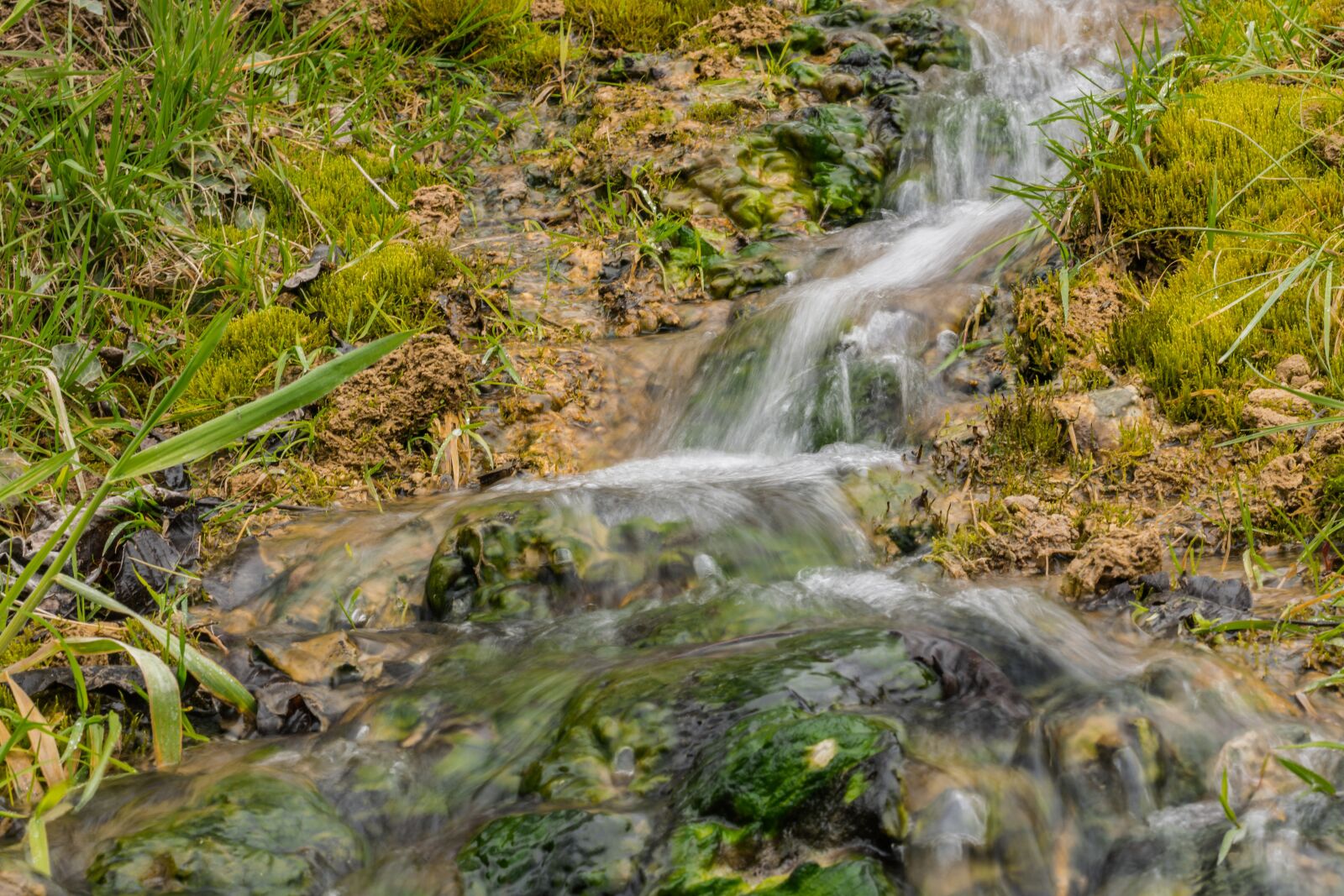 Nikon D5300 sample photo. Bach, nature, water photography