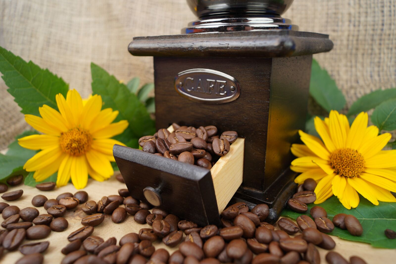 Sony DT 18-55mm F3.5-5.6 SAM II sample photo. Coffee, coffee mill, whole photography