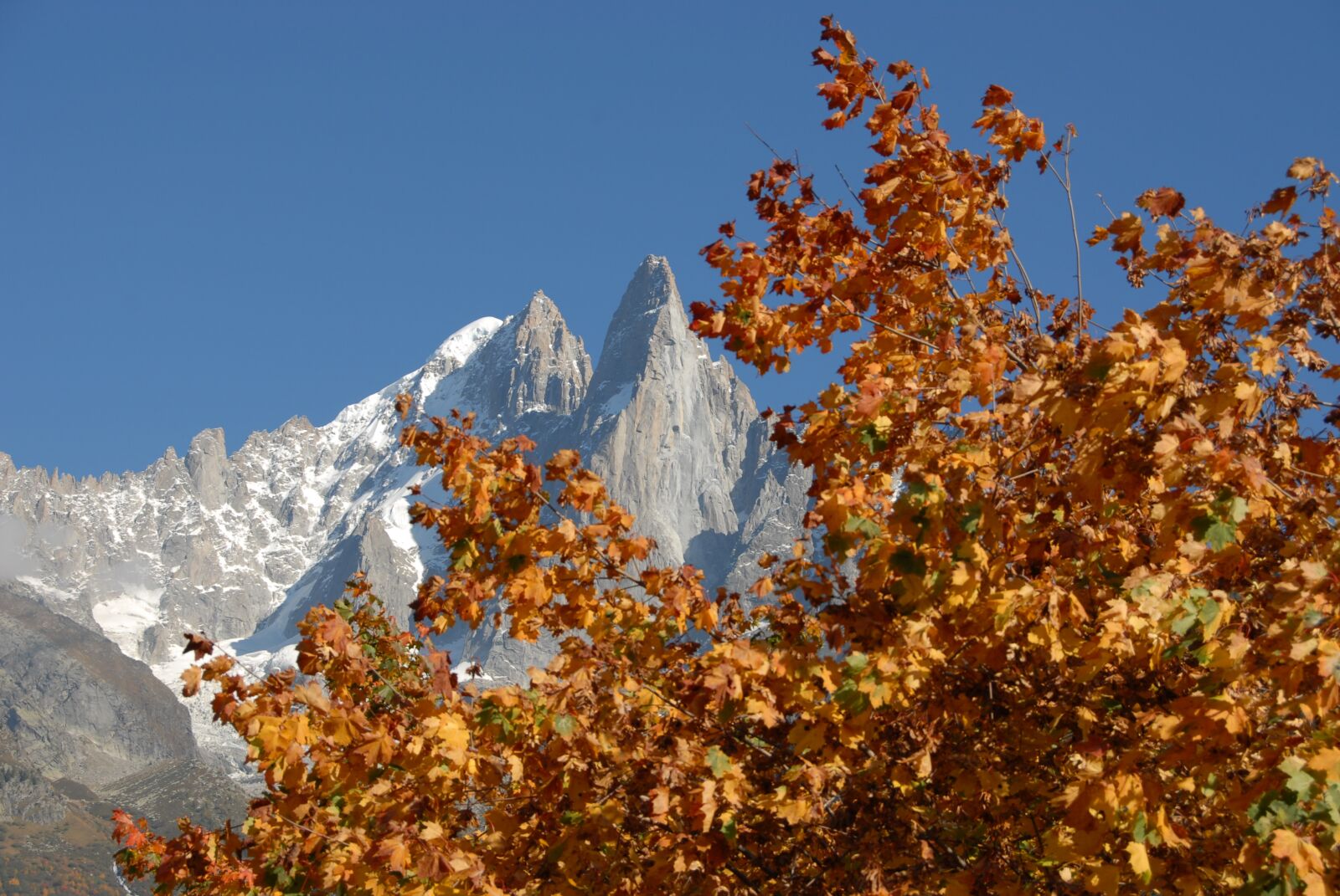 Nikon D200 sample photo. Fall, season, nature photography