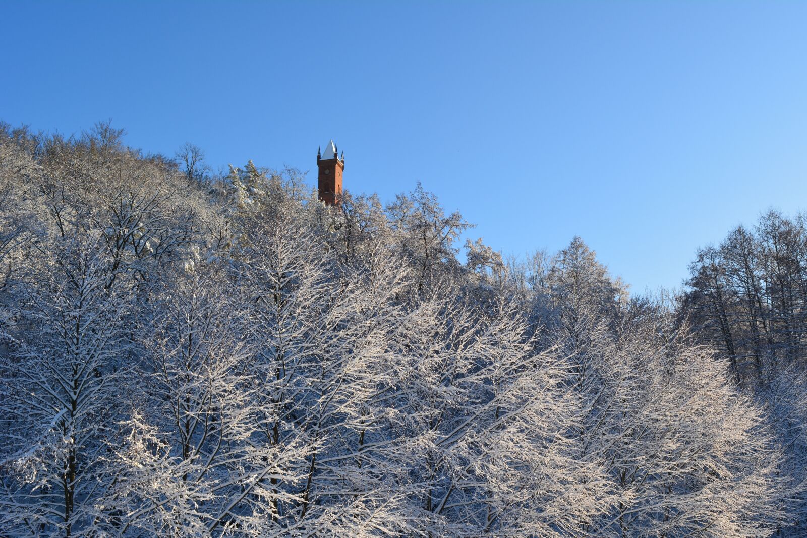 Nikon D5200 sample photo. Winter, snow, nature photography