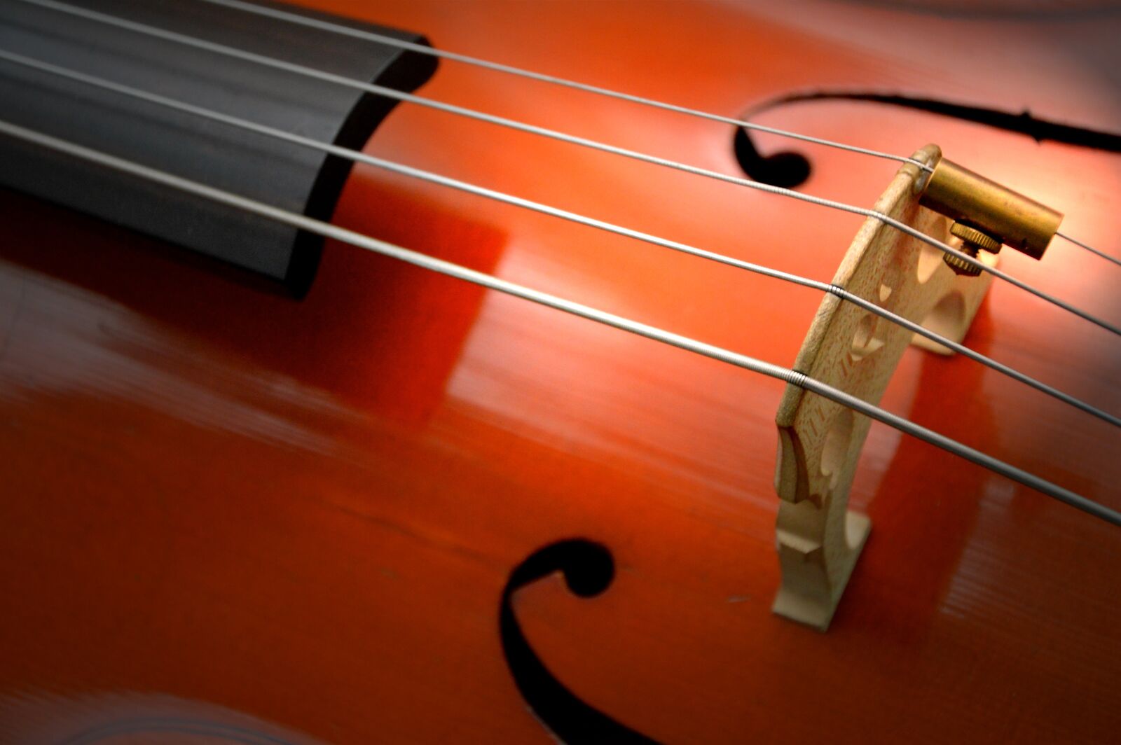 Nikon D3200 sample photo. Cello, strings, stringed instrument photography