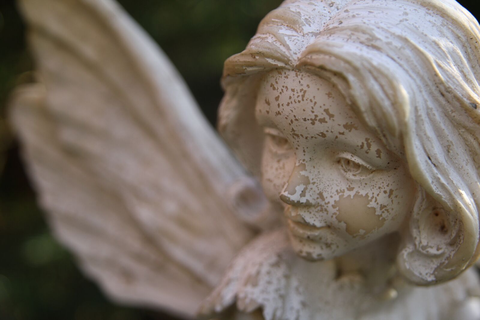 Canon EOS 1000D (EOS Digital Rebel XS / EOS Kiss F) sample photo. Fairy, white, girl photography