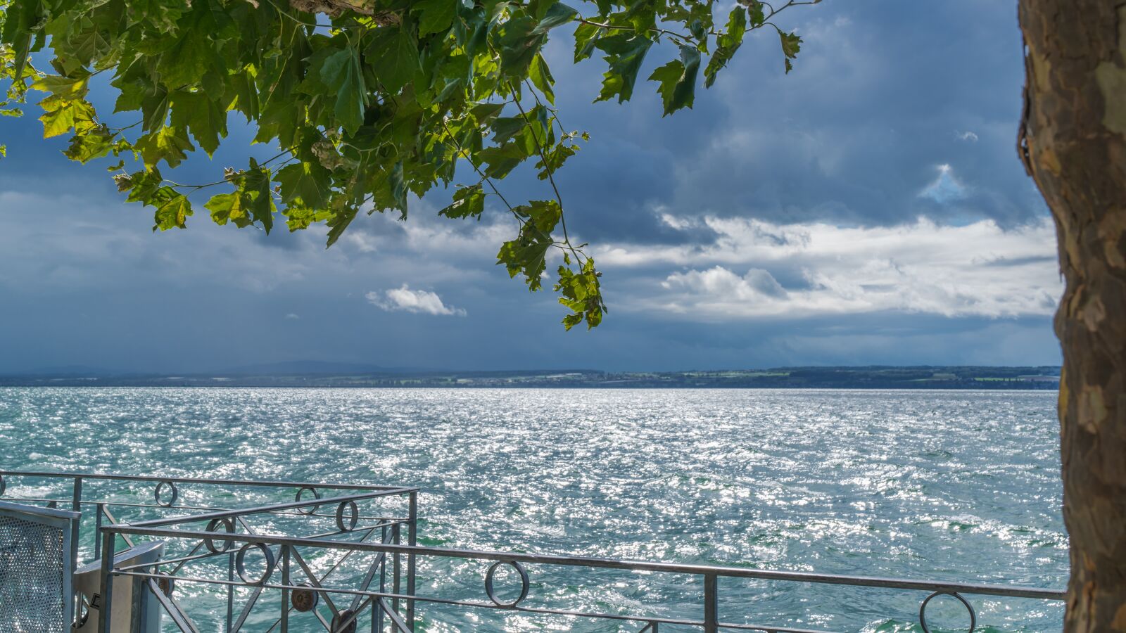 Sony a7R II + Sony FE 24-70mm F2.8 GM sample photo. Lake constance, forward, watch photography