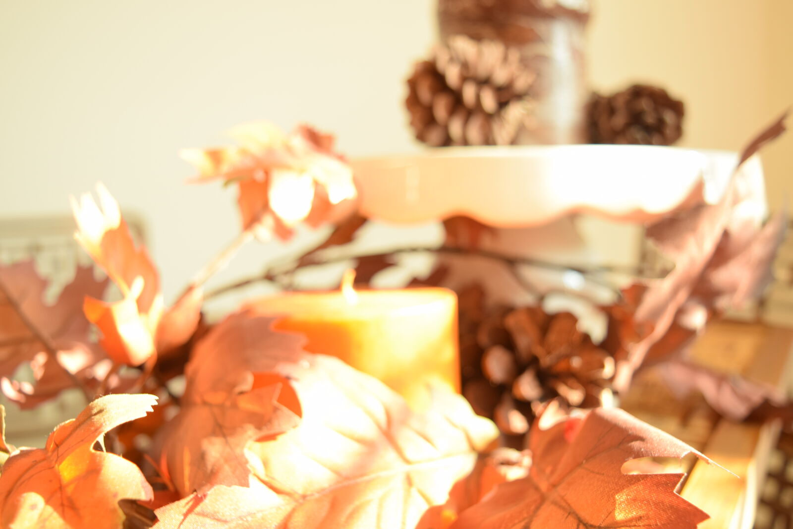 Nikon D3300 sample photo. Autumn, candles, fall, leaves photography