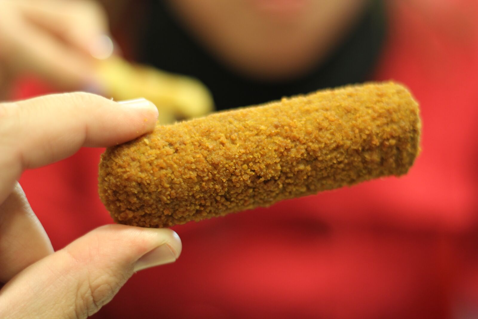 Canon EOS 60D + Canon EF 50mm F1.8 II sample photo. Kibble, netherlands, food photography