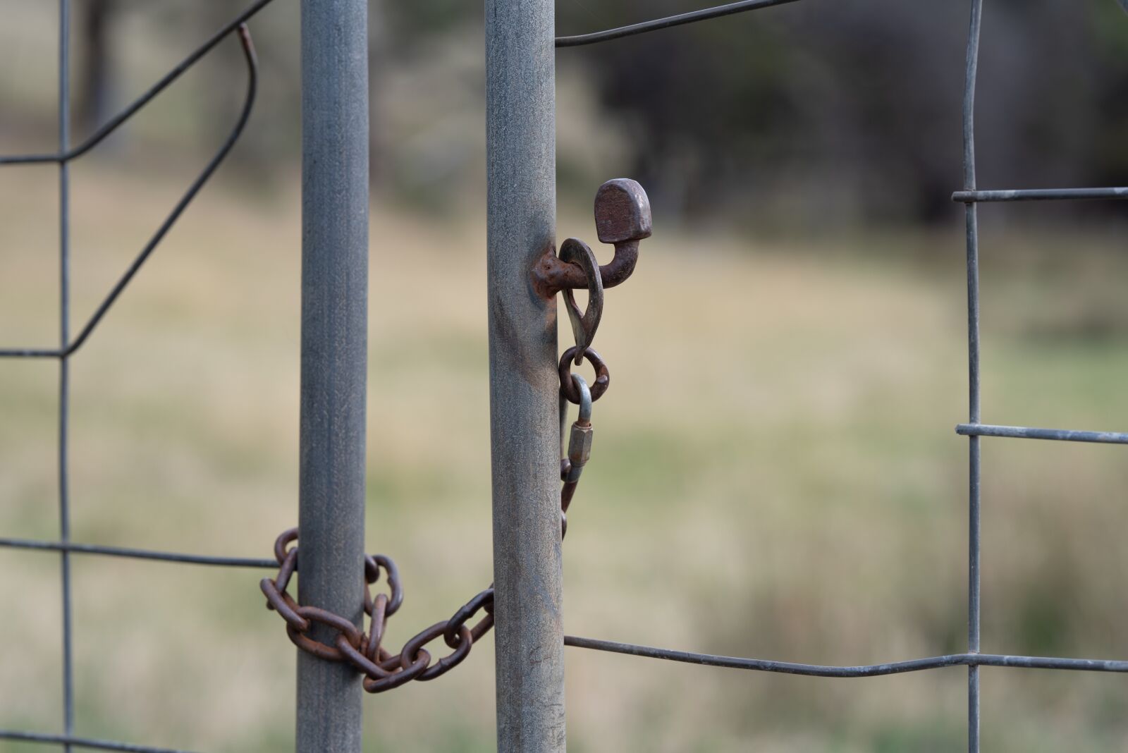 Nikon D750 sample photo. Gate, chain, latch photography