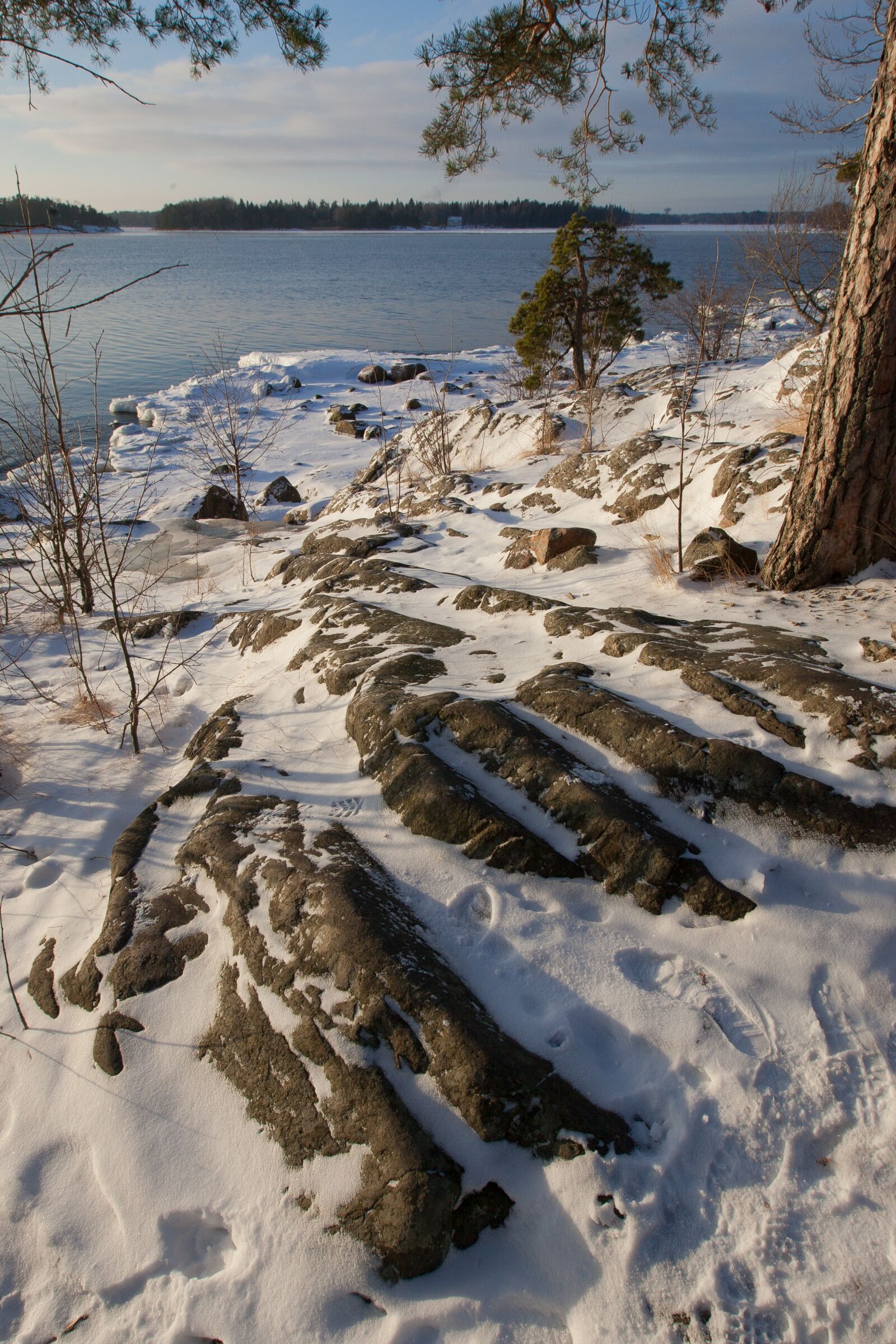 Canon EOS-1D Mark II sample photo. Finland, winter, shoreline photography