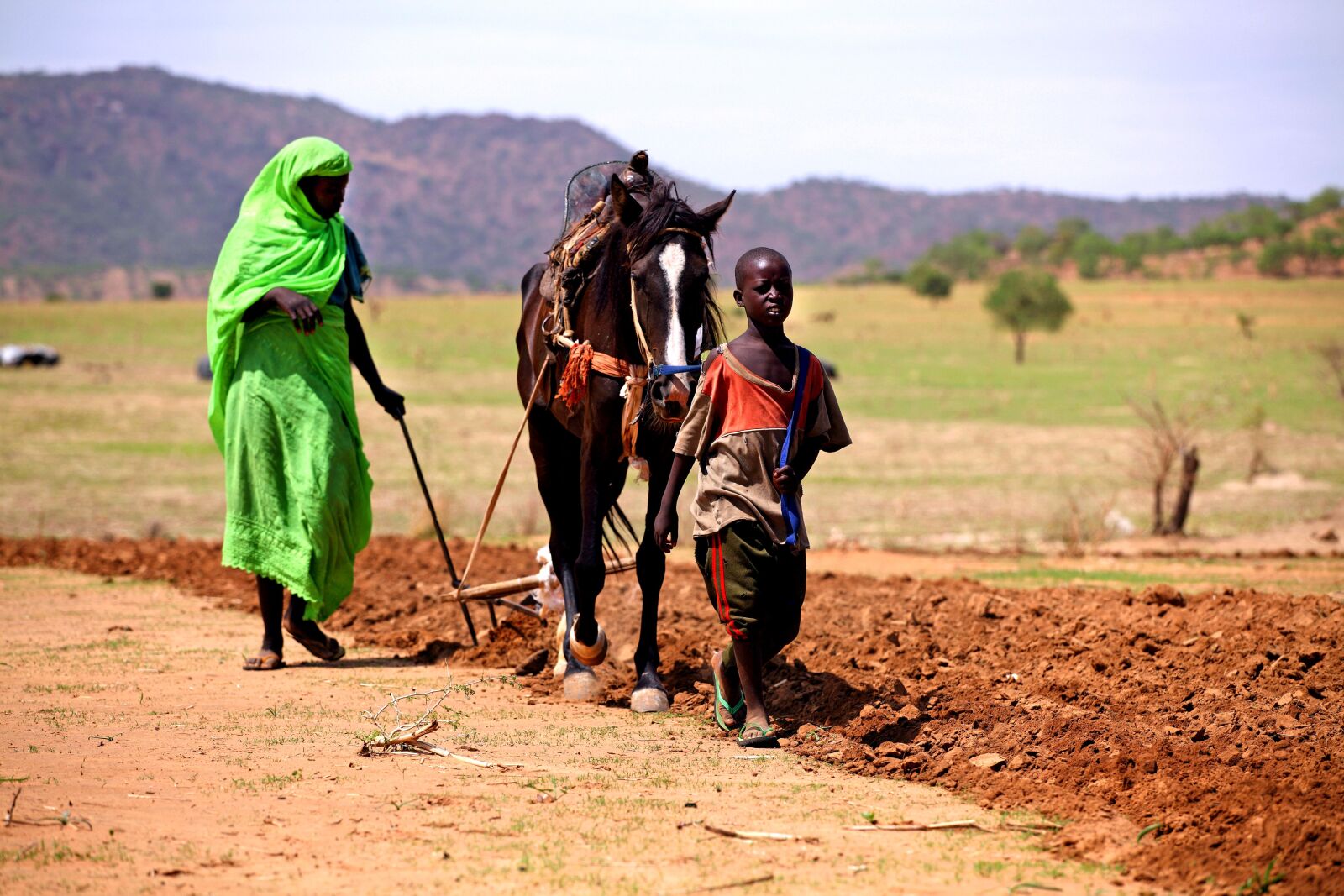 Canon EOS 5D Mark II sample photo. Woman, plows, field, horse photography