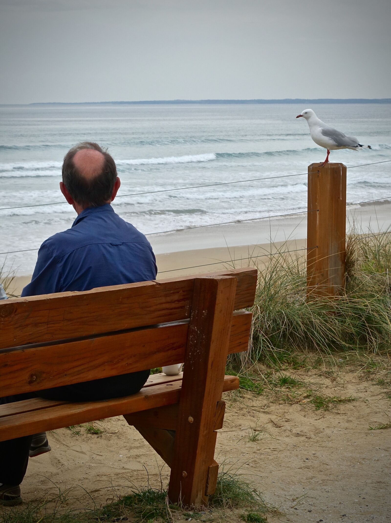 Sony Cyber-shot DSC-RX100 III sample photo. Lonely, seagull, sea photography
