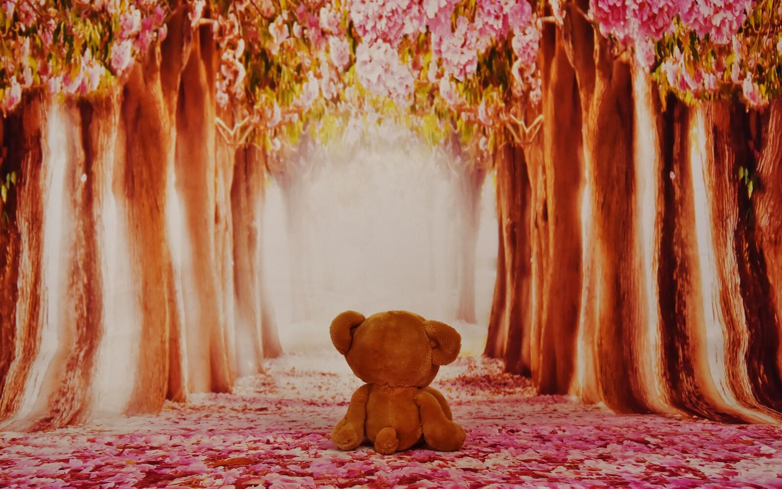 Nikon D7200 sample photo. Miss, teddy, sad photography