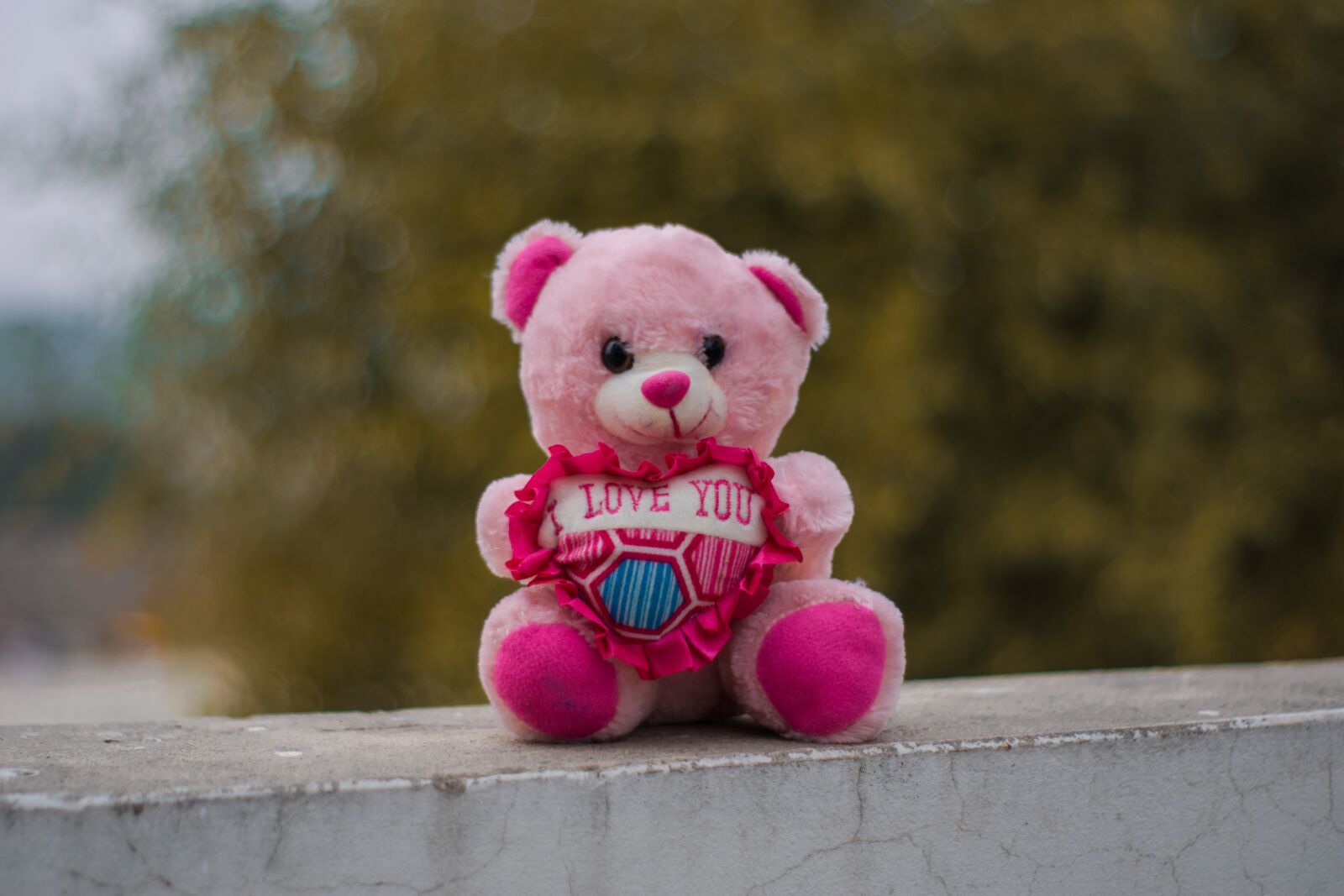 Nikon D5300 sample photo. Teddy, portrait, toys photography