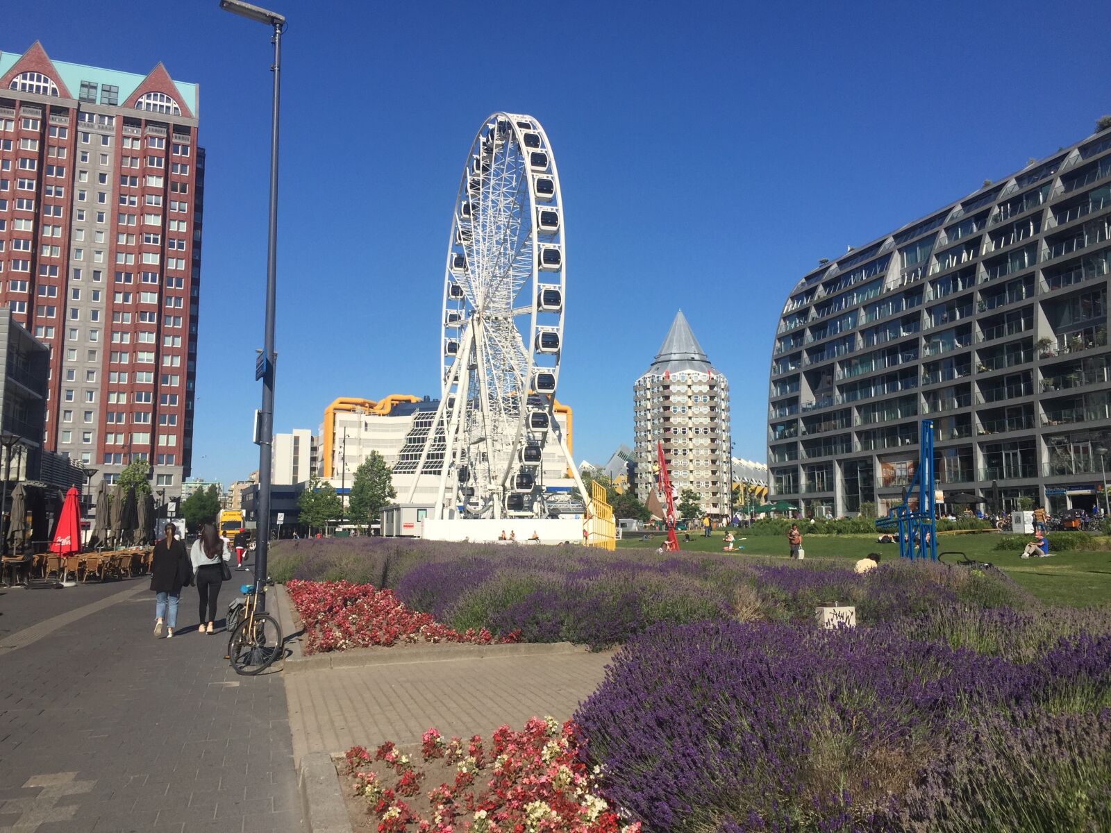 iPhone 6 Plus back camera 4.15mm f/2.2 sample photo. Rotterdam, netherlands, holland photography