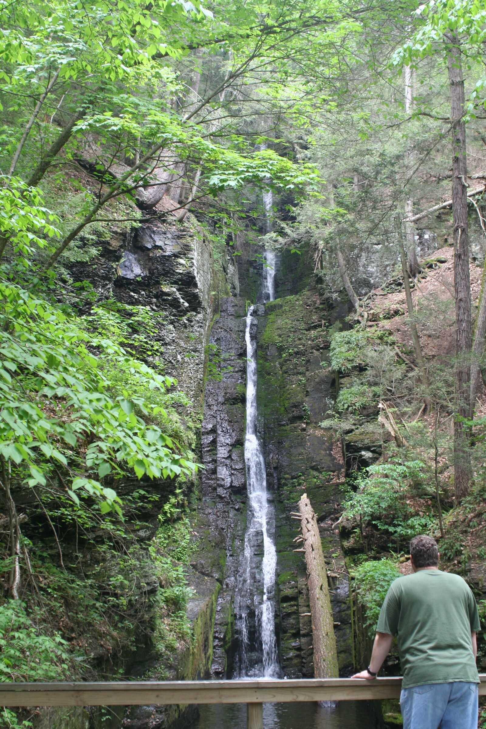 Canon EOS 350D (EOS Digital Rebel XT / EOS Kiss Digital N) sample photo. Waterfall, scenic, woods photography